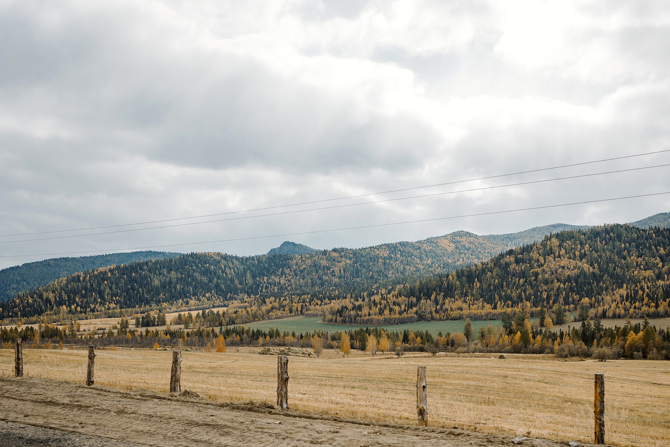 Женя и Яна. Свадебный фотограф в Москве и МО Александр Ласковенков