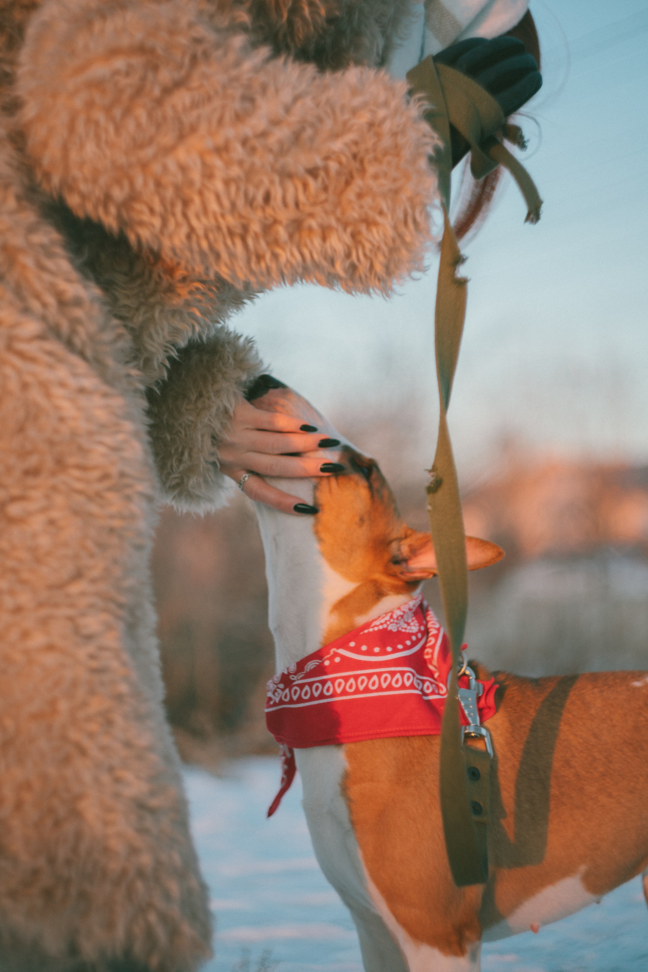 Булка. Евгения Арефьева — свадебный и портретный фотограф в Чите
