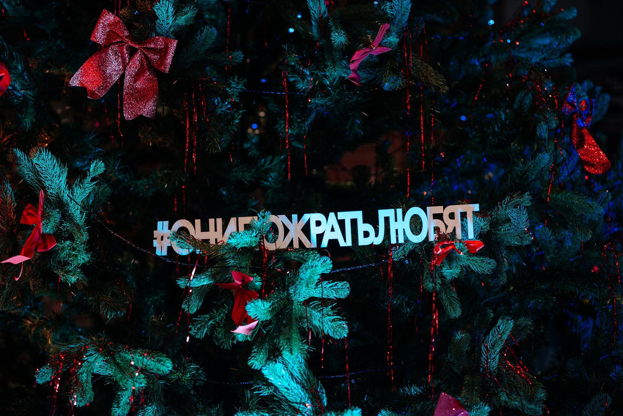 ОНИПОЖРАТЬЛЮБЯТ. Новогодний маркет. Декабрь 23. Репортажный фотограф в Санкт-Петербурге Анастасия Клёпова