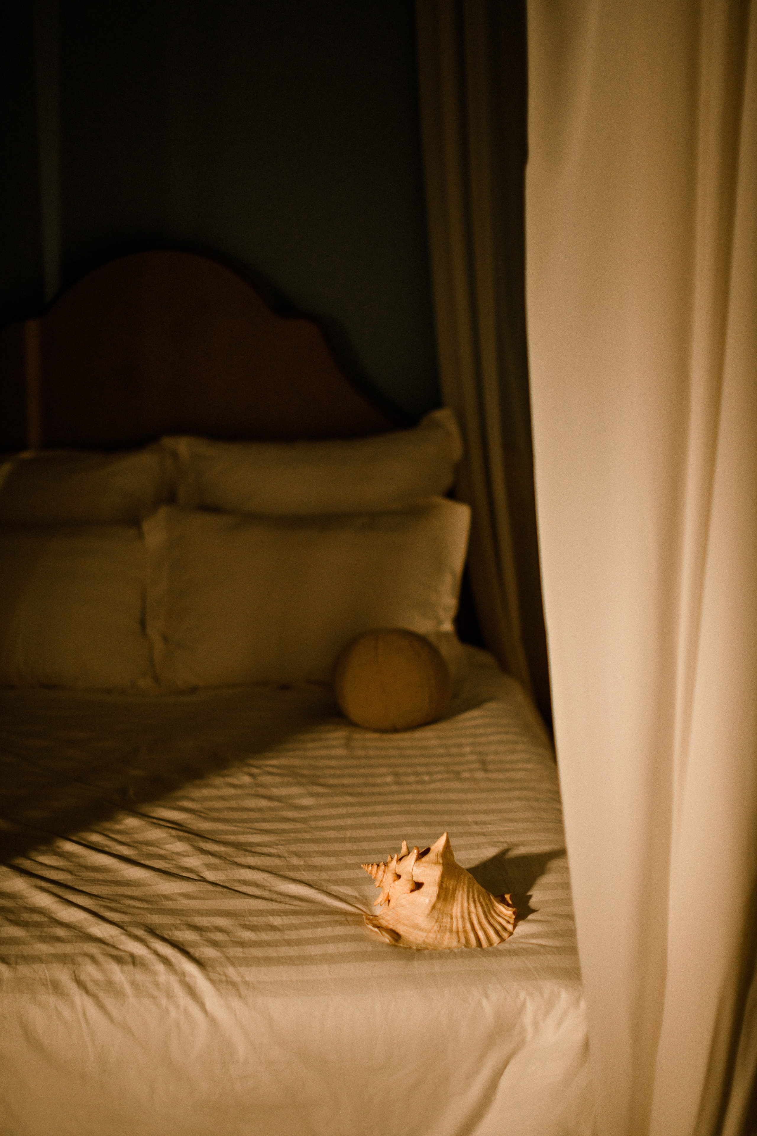 Энергопрактик. Свадебный фотограф в Санкт-Петербурге София Шубик