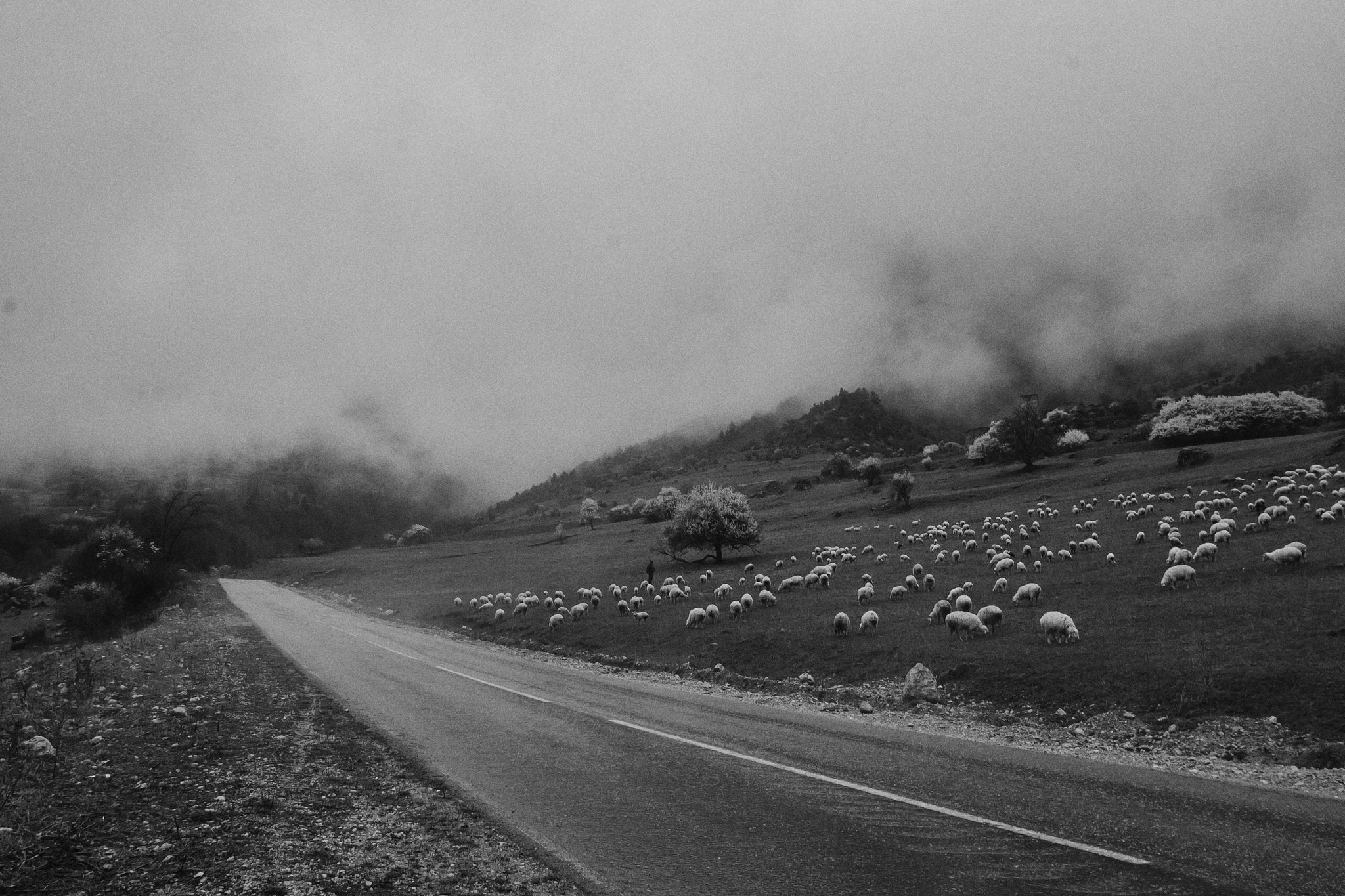 Ингушетия и Осетия. Travel-фотограф Ирина Милинцова