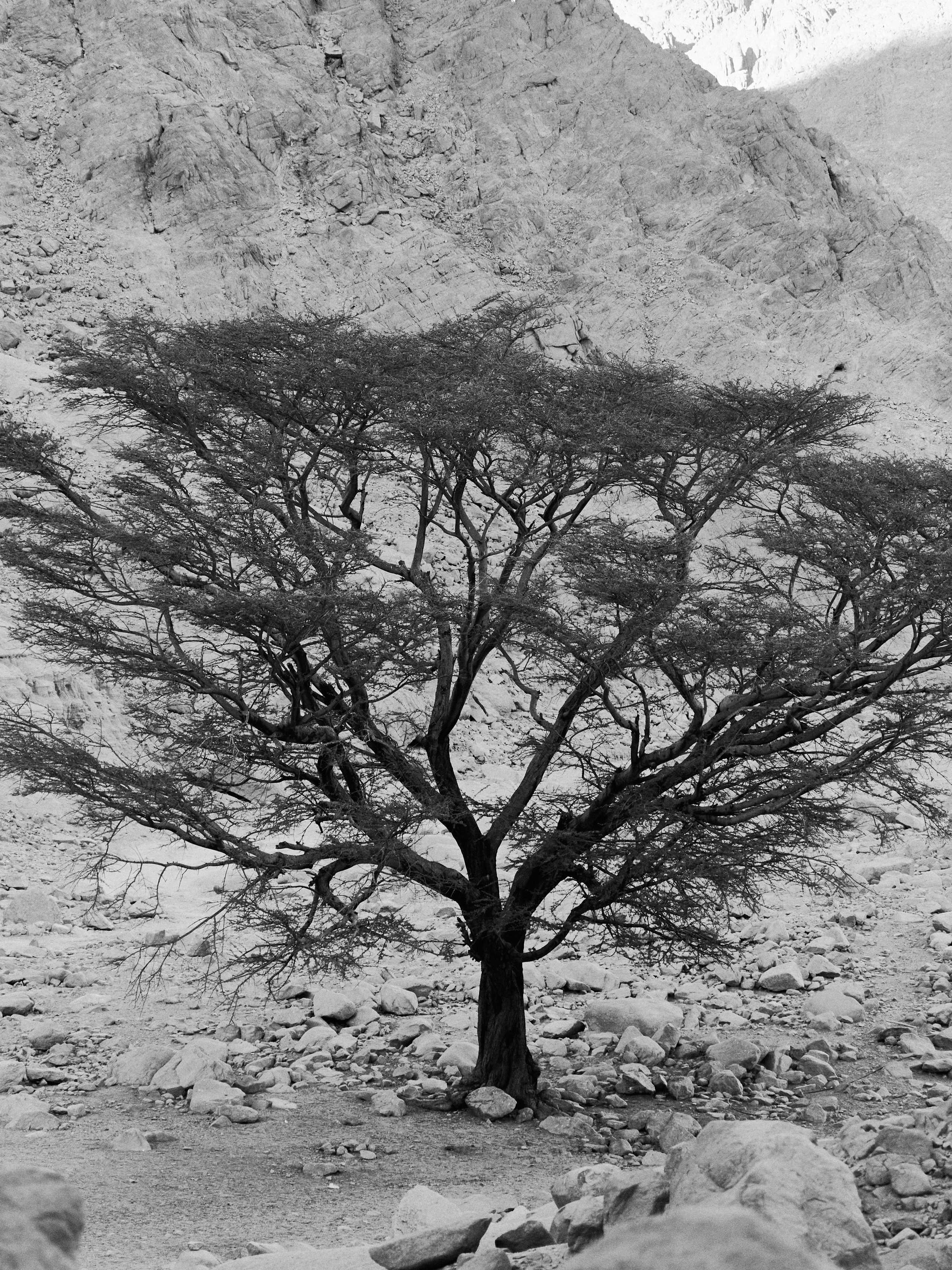 Другое 4. Jorgis — фотограф в Хургаде / обучение фотографии