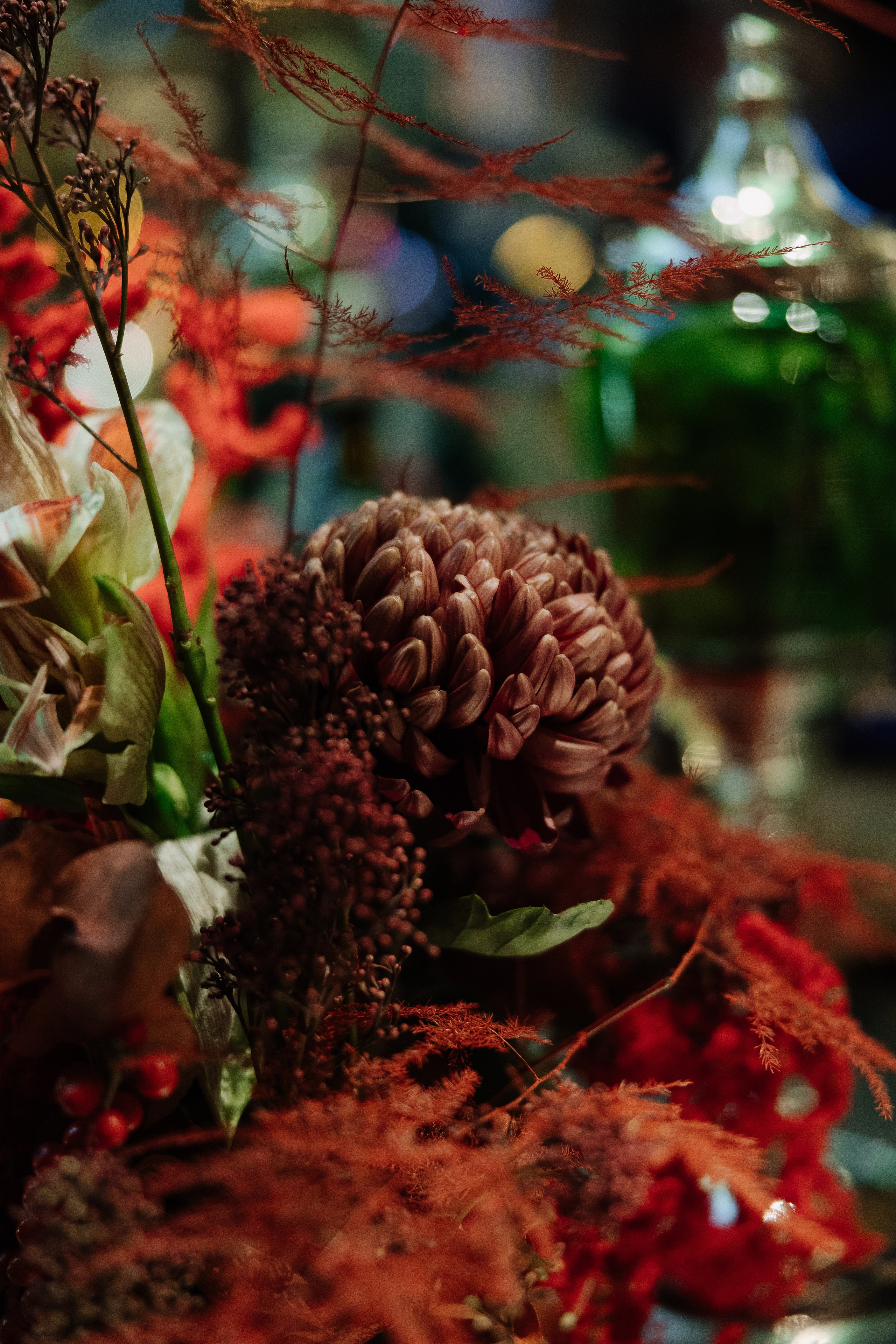 Альфа-банк Джаз Тур. Фотограф — Ася Орехова