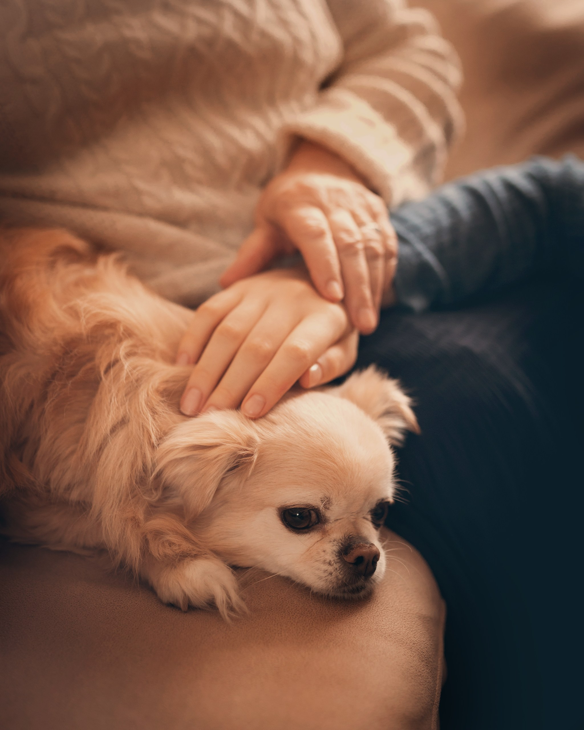 Домашняя фотосессия — бабушка с внучками. Детский и семейный фотограф Елена Михайлова в Москве