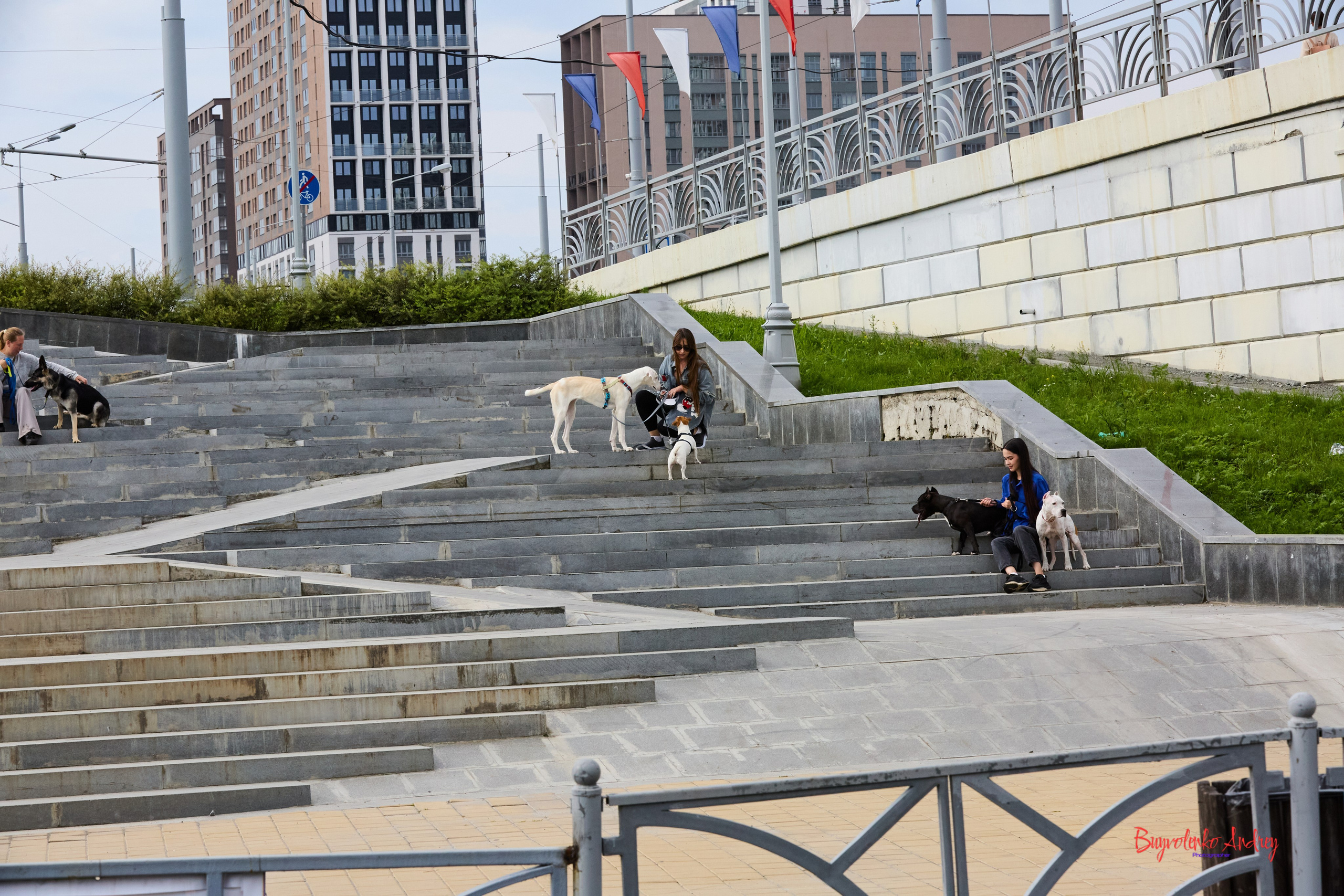 Проект фотопрогулка с хвостиком. Buyvolenko Andrey