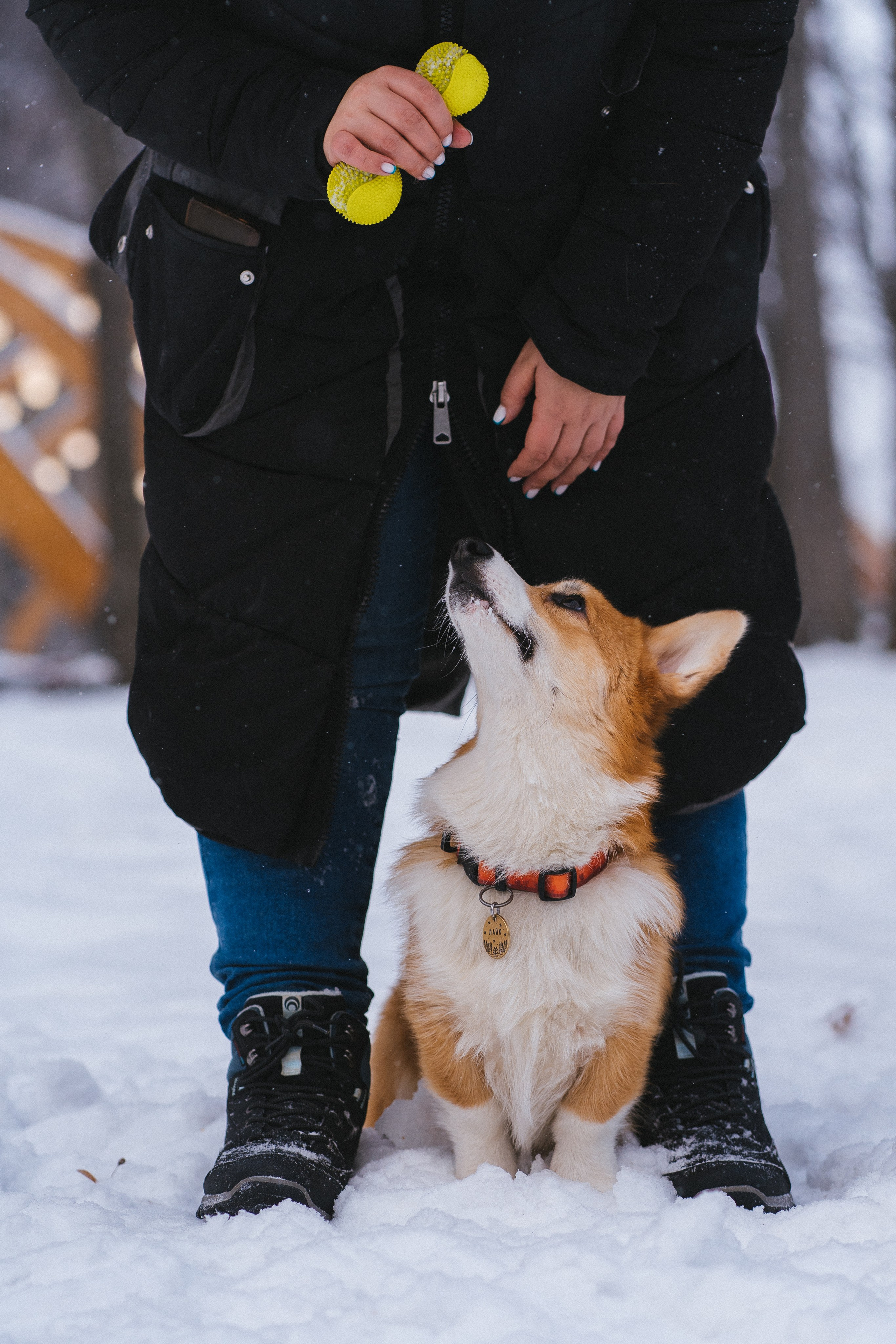 Агата и Лайк. Свадебный фотограф в Москве Анна Полушина