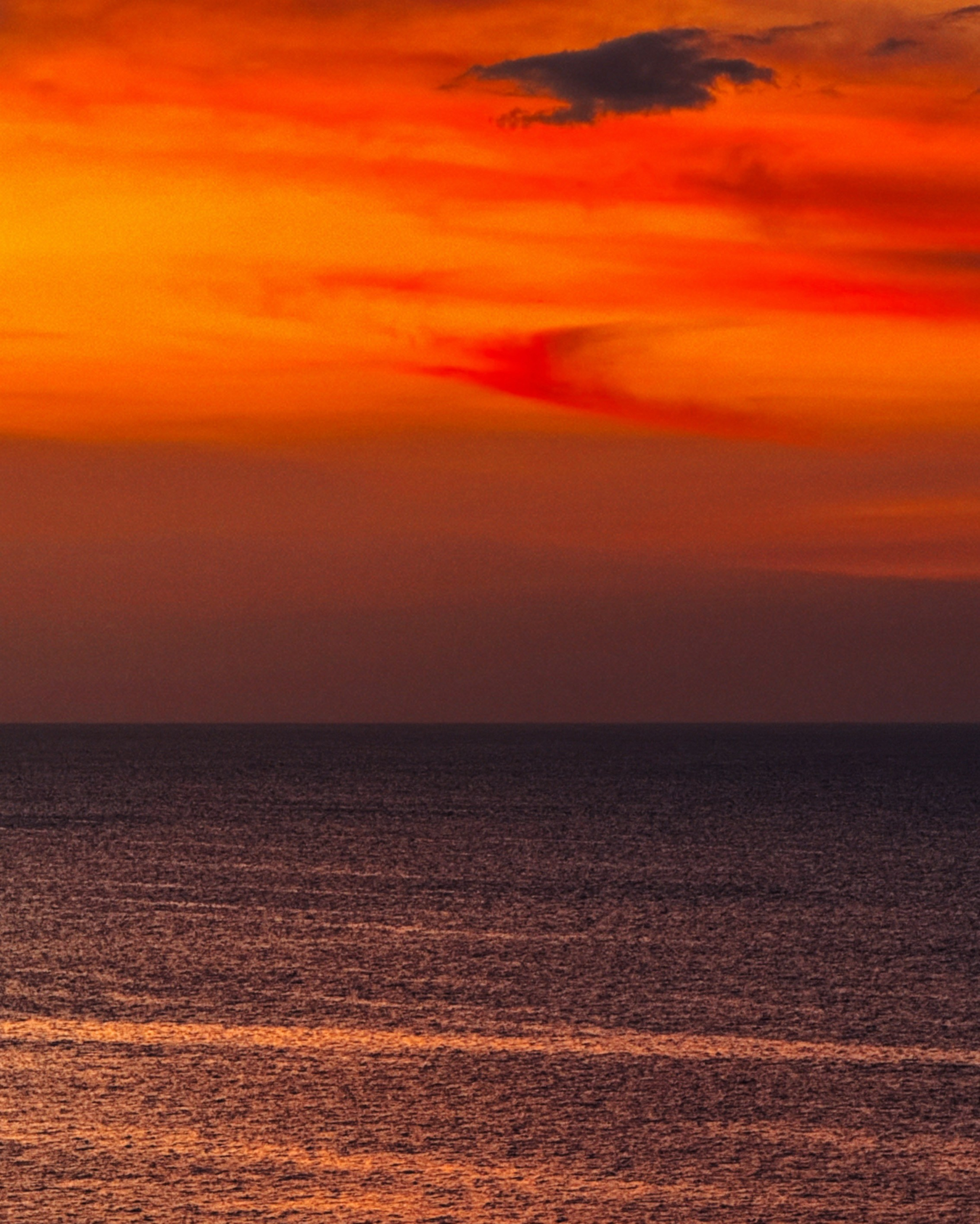 SUN. Виолетта Скрипка