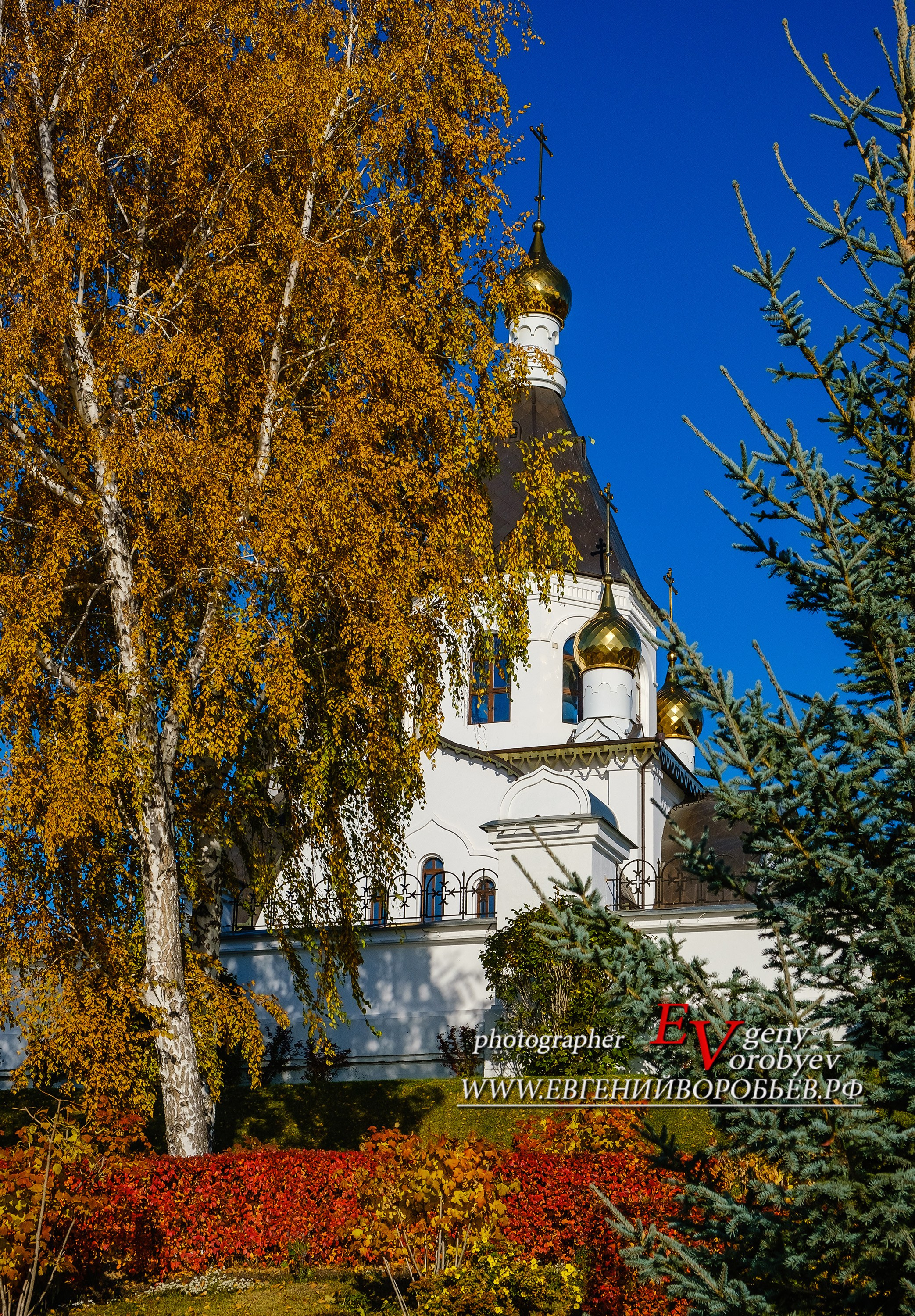 осень береза профессионального фотографа церковь храм Свято Успенский мужской монастырь Красноярск берег Енисея посёлок Удачный что посмотреть где побывать достопримечательность индивидуальная экскурсия авторский фото тур гид трансфер на автомобиле заказать стоимость цена описание услуг