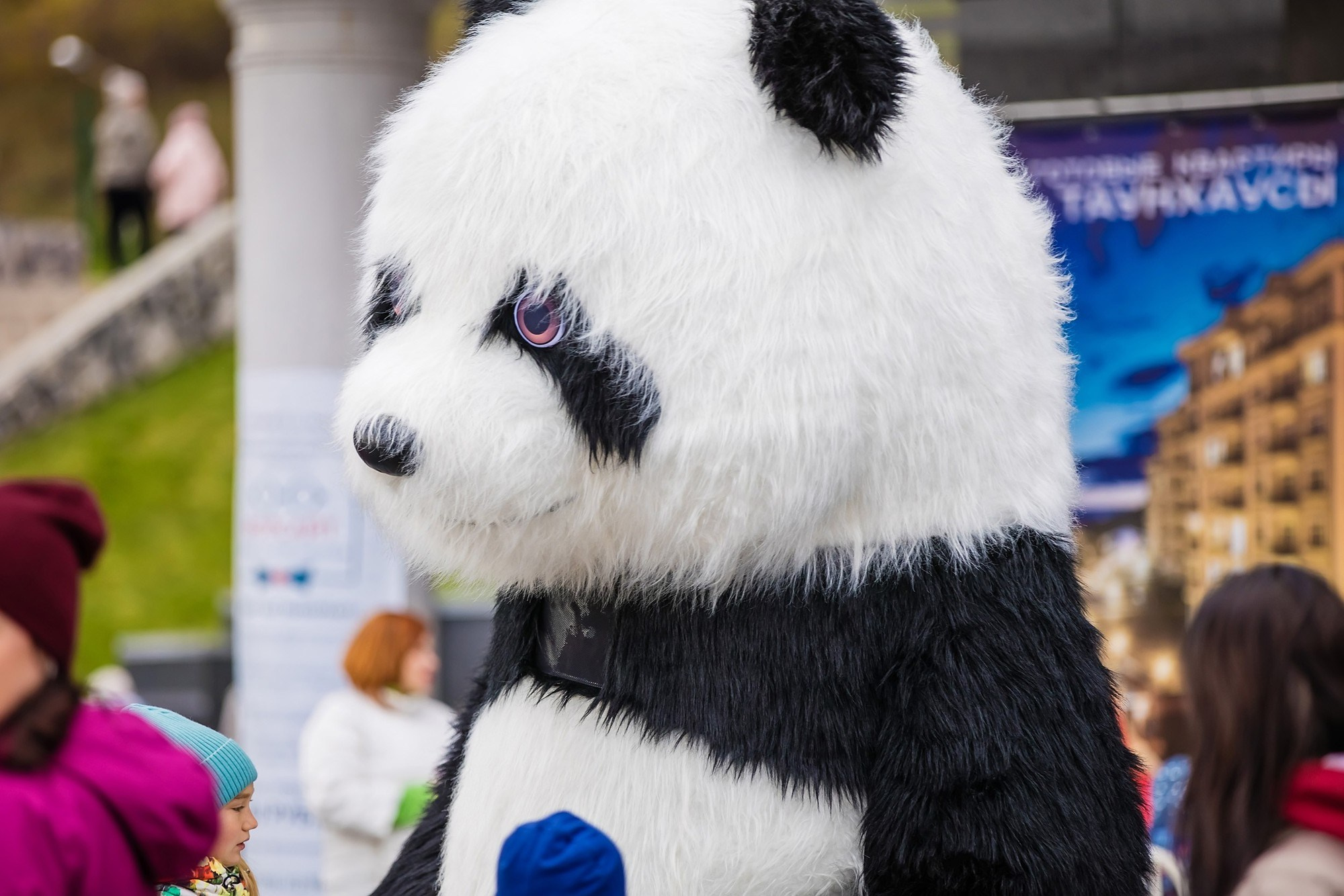 Праздник Осень в Микрорайоне удачный Красноярск