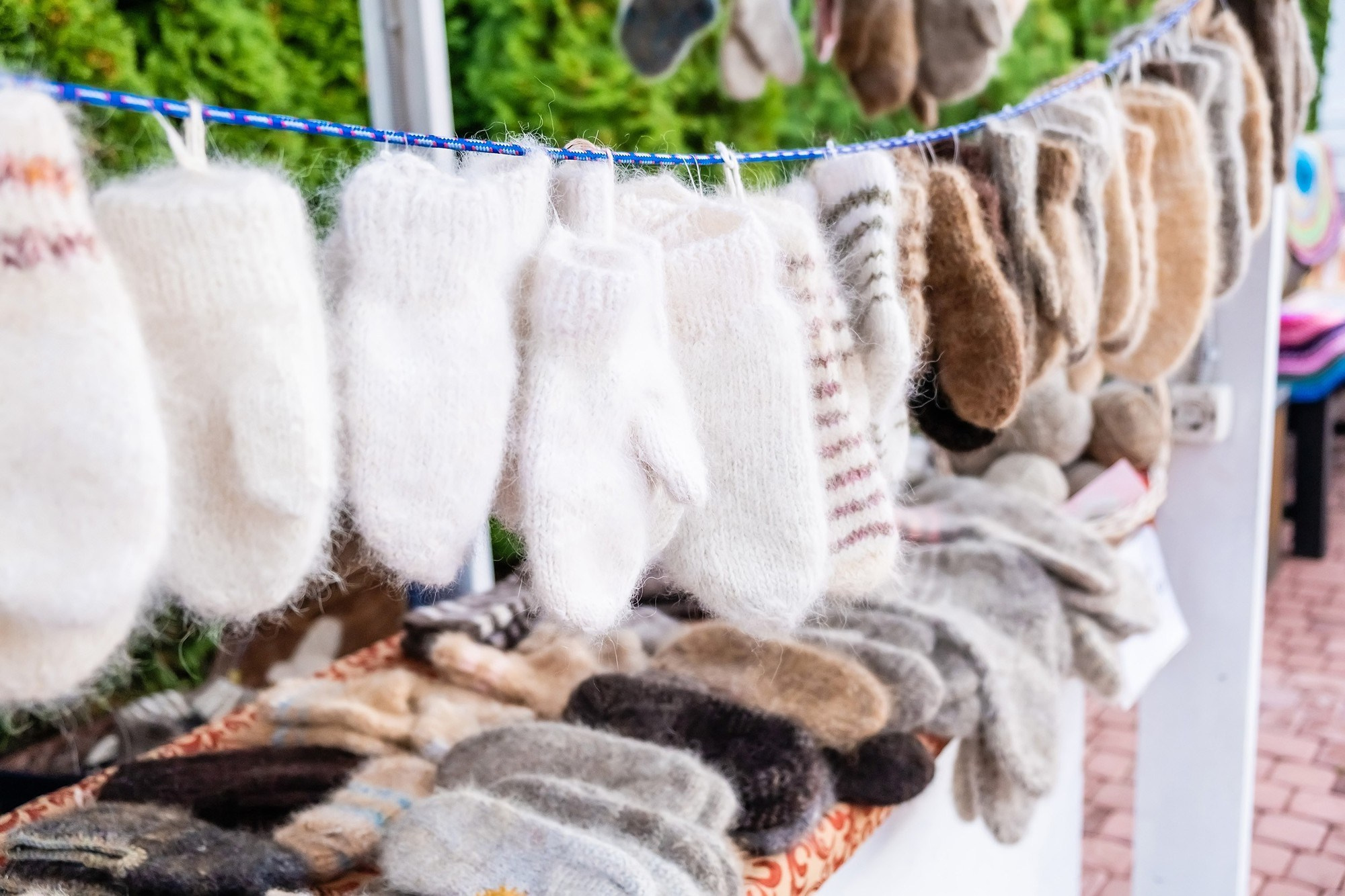 Праздник Осень в Микрорайоне удачный Красноярск