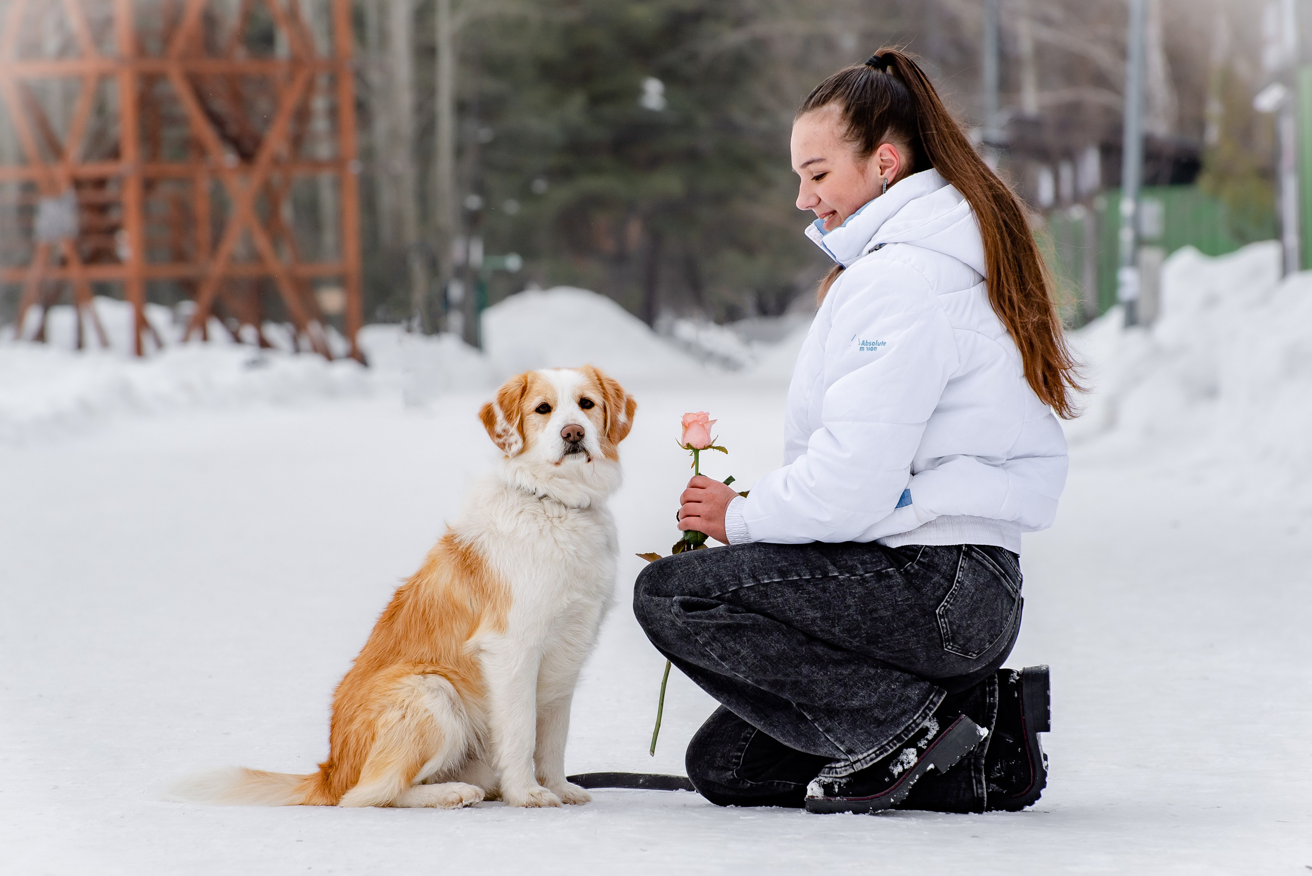 Прогулочная фотосессия с собакой. Фотограф Макс Огурцов в Нижнем Новгороде
