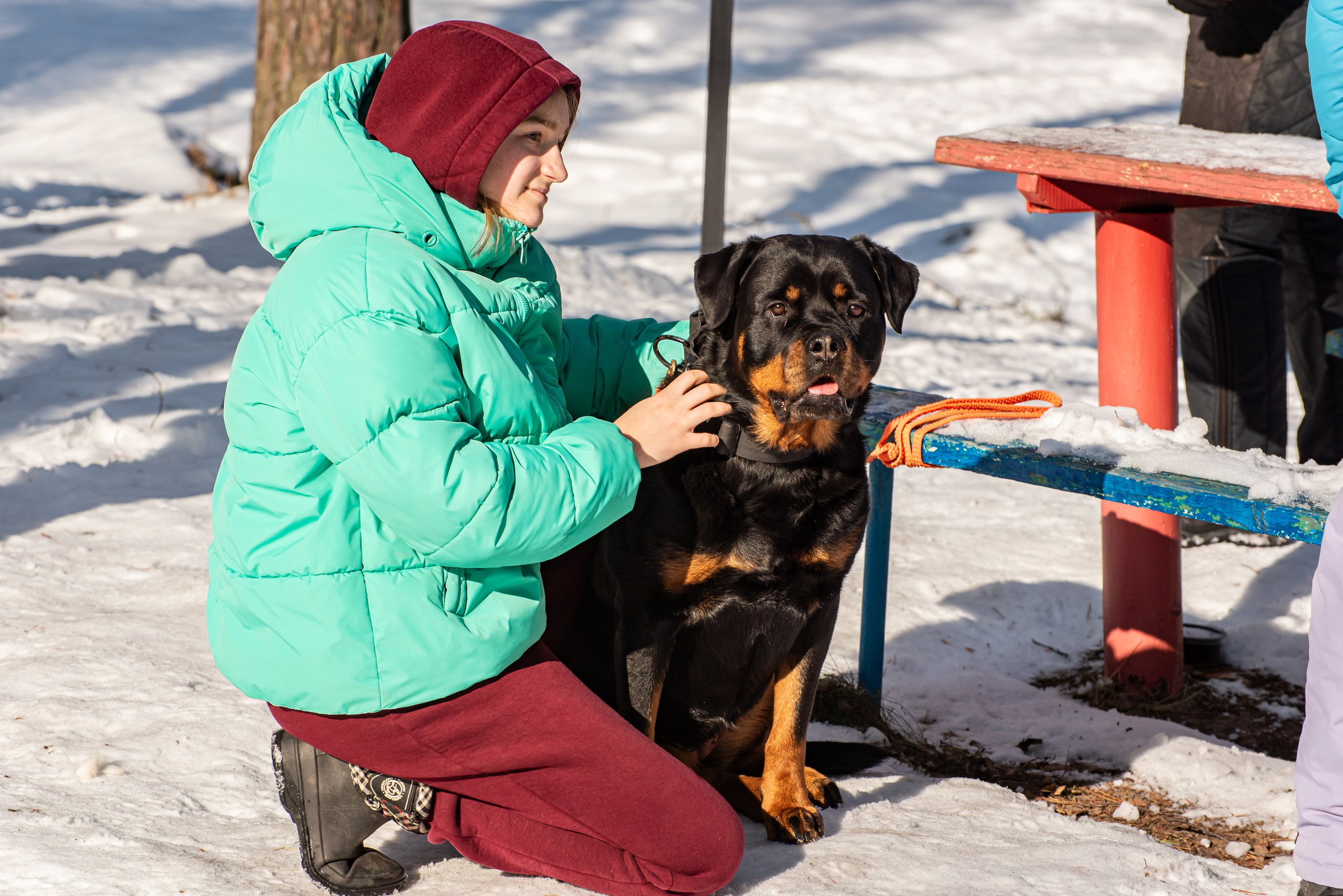 Фотосъёмка с собаками в Кинологическом лагере. Фотограф Макс Огурцов в Нижнем Новгороде
