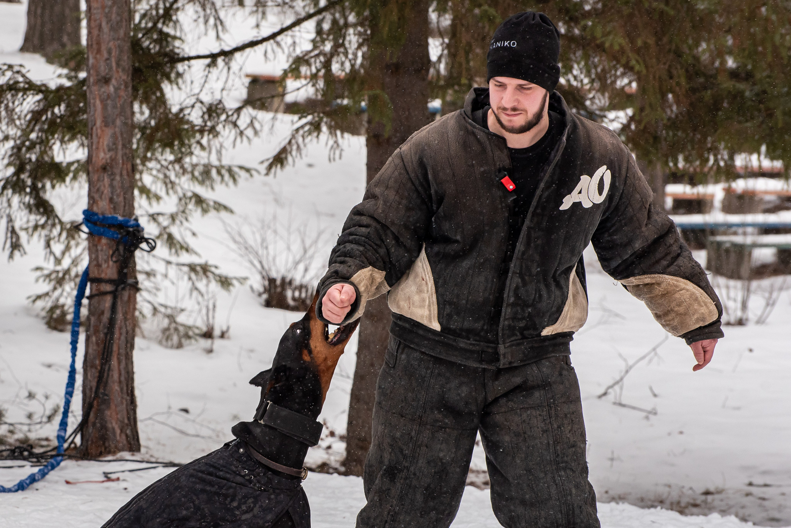 Фотосъёмка с собаками в Кинологическом лагере. Фотограф Макс Огурцов в Нижнем Новгороде