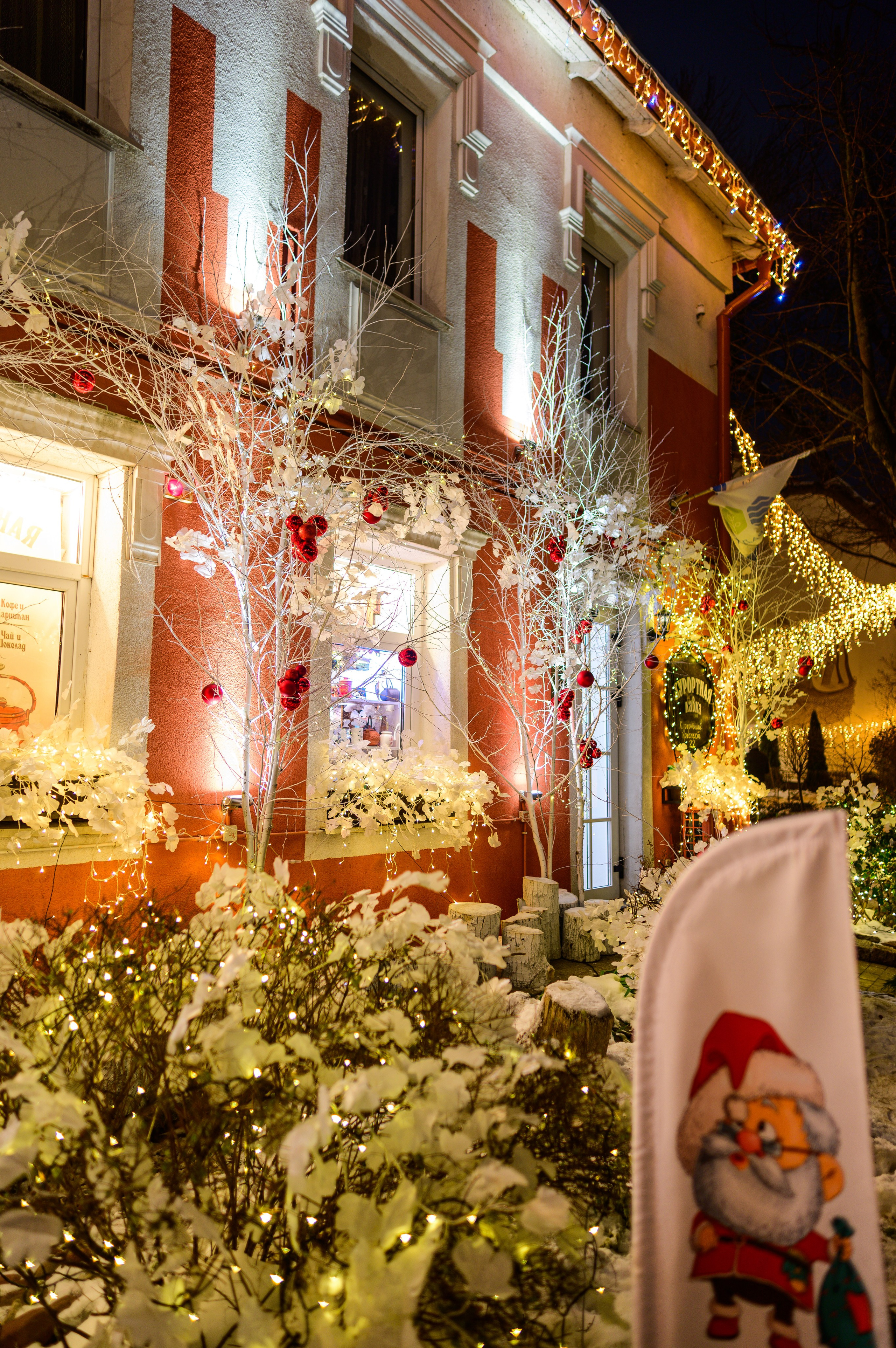 Зимняя Калининградская область. Фотосъемка и видеосъемка в Калининграде Liveemotion.pro