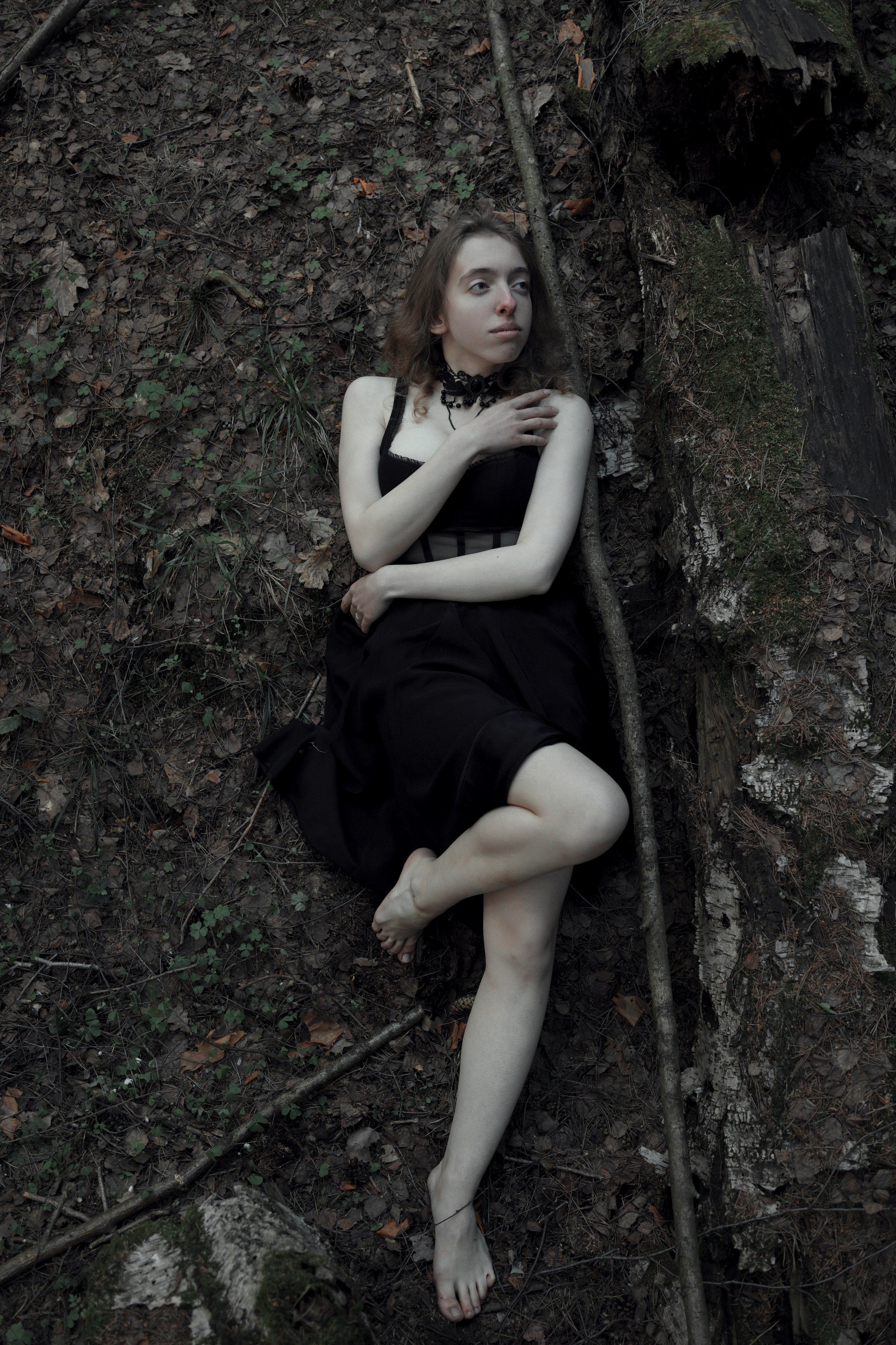 Schutzwald. Арт-фотограф. Coffelisk