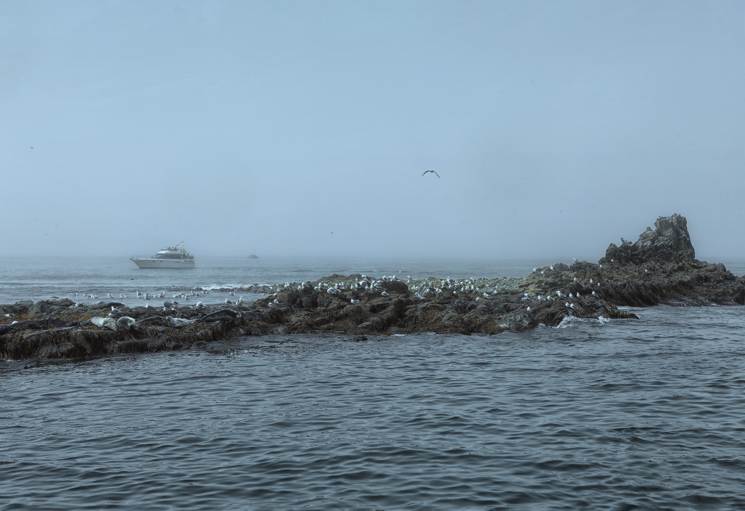 Пейзаж. Фотограф Наталья Туева FineArt съёмка