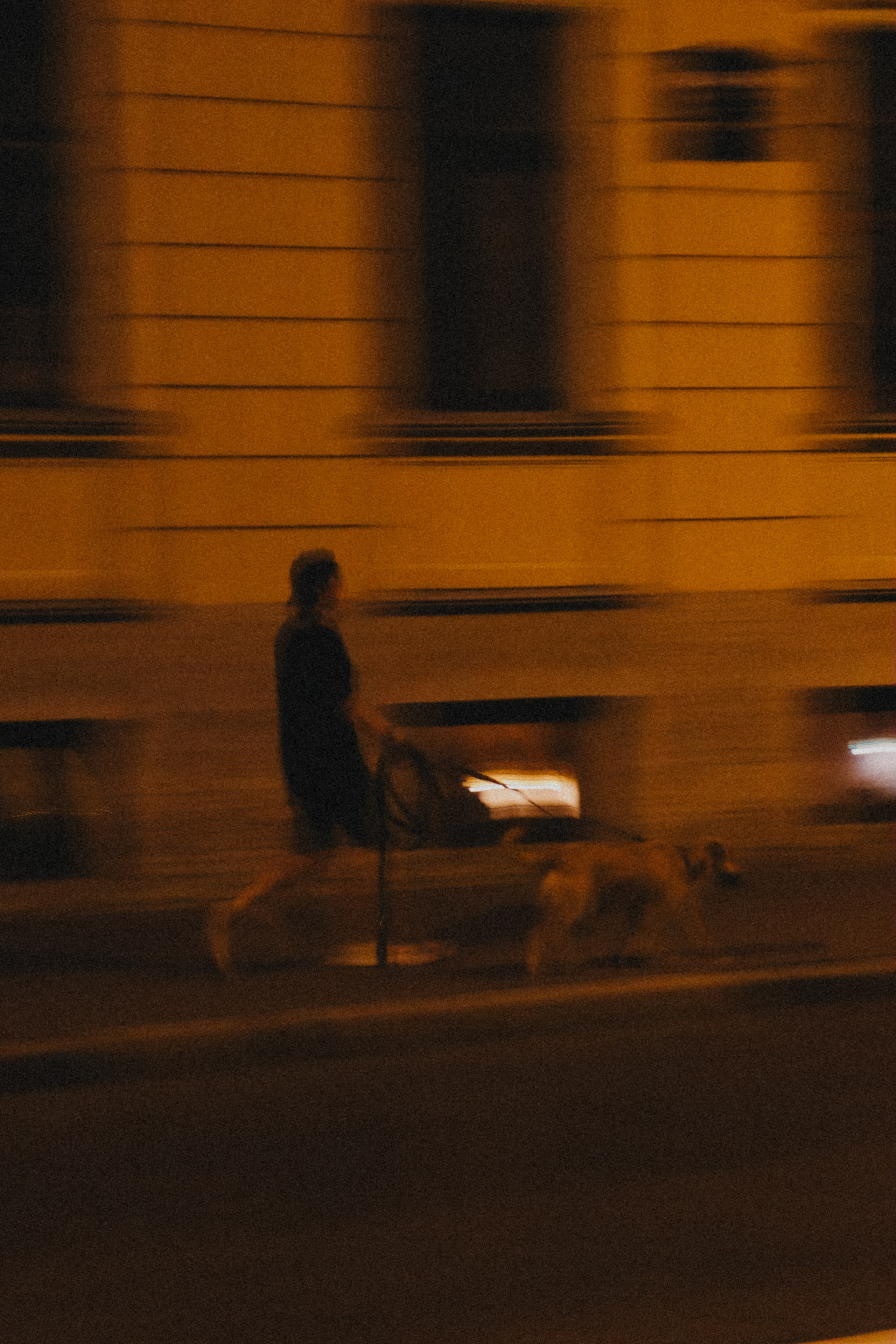 ПРИНТЫ. Виктория Князева| фотограф из Санкт-Петербурга