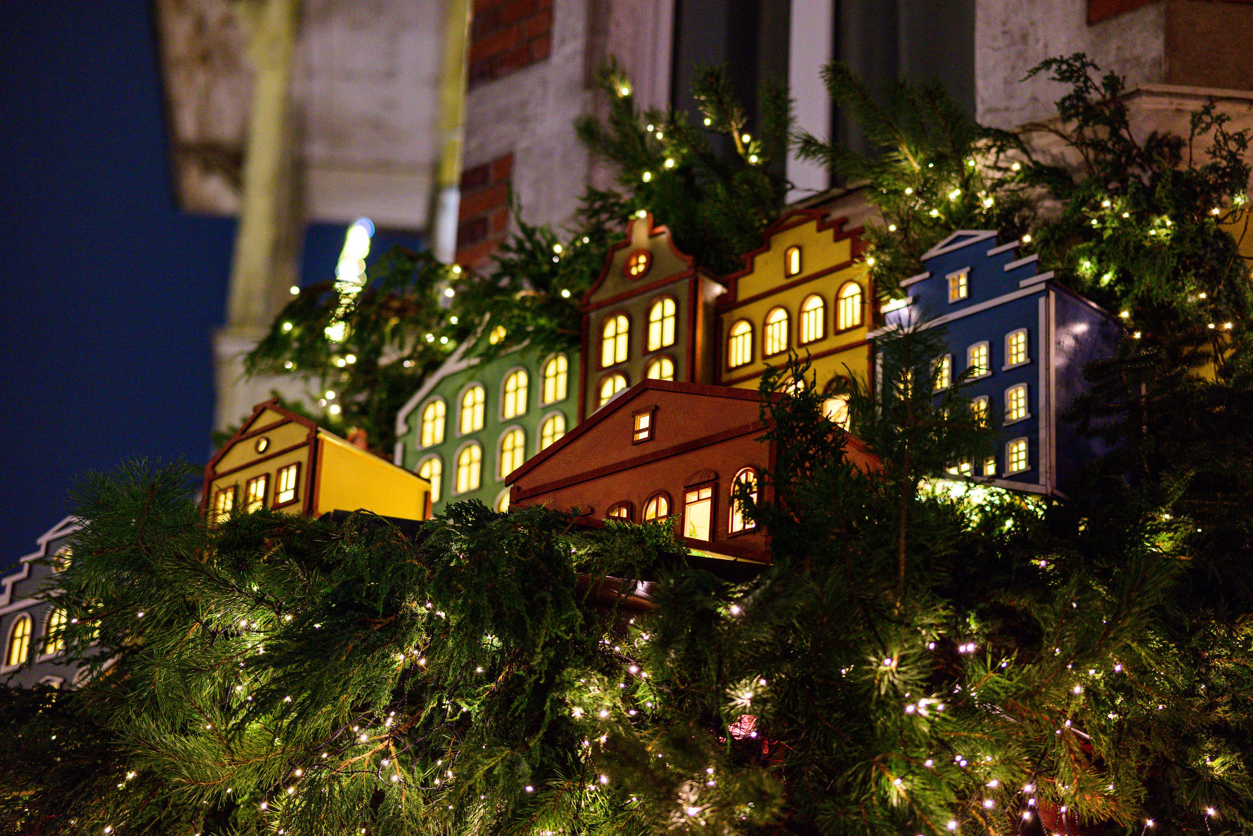 Зимняя Калининградская область. Фотосъемка и видеосъемка в Калининграде Liveemotion.pro