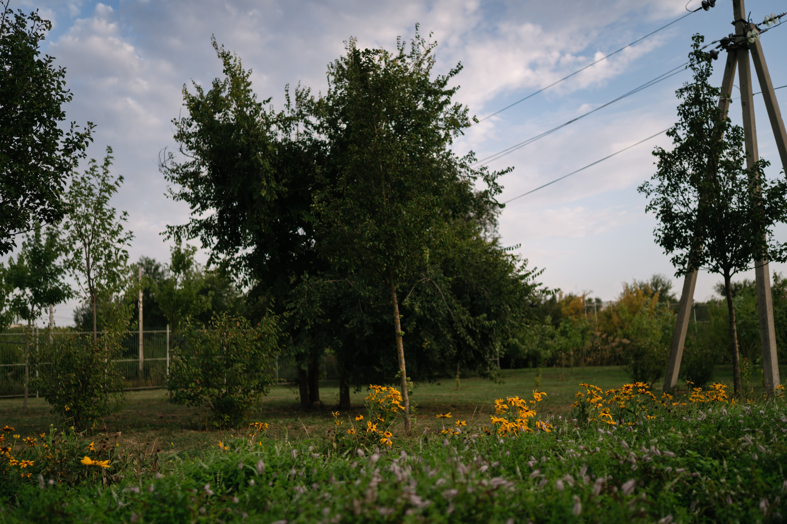 Локации для школьных съемок. Семейный фотограф и видеограф Ростов-на-Дону