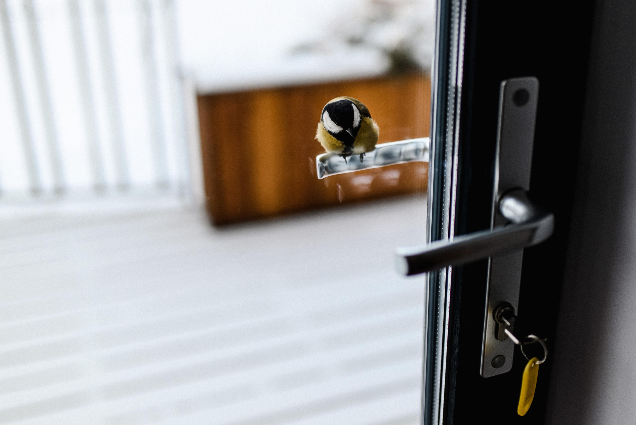 Горы и два безумца. Свадебный и портретный фотограф Пётр Ладанов