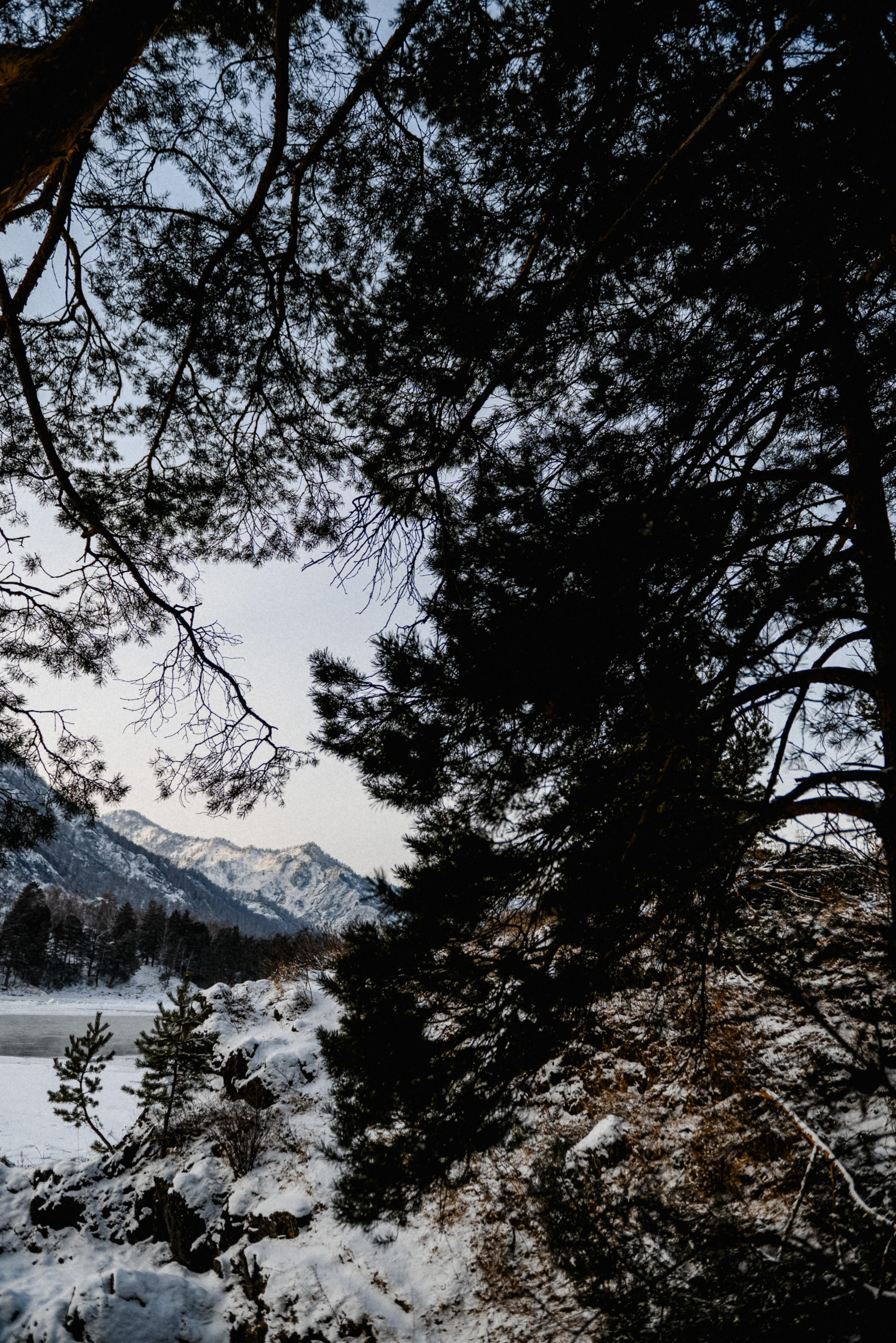 Горы и два безумца. Свадебный и портретный фотограф Пётр Ладанов