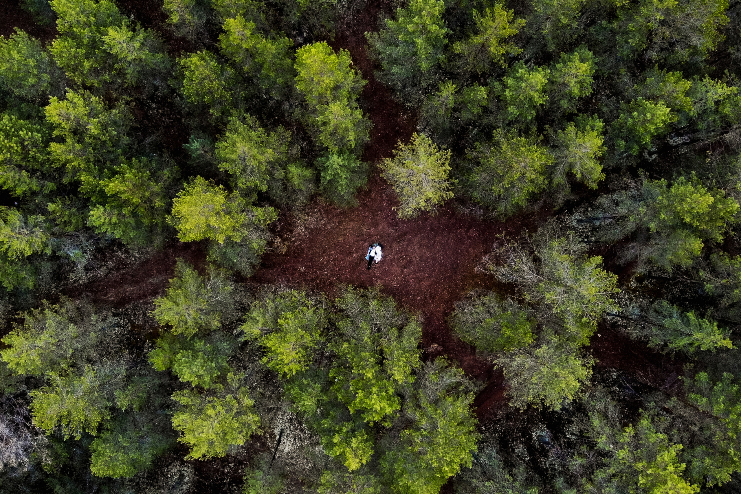 MESTO. Свадебный и портретный фотограф Пётр Ладанов
