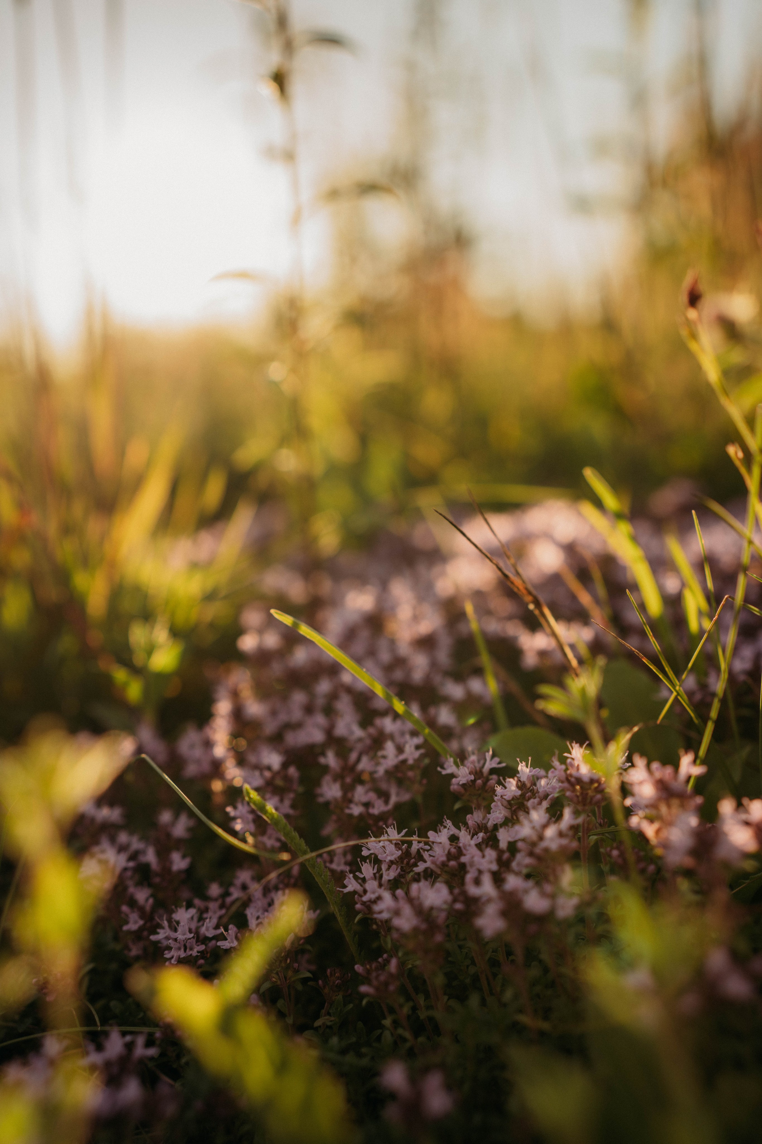 Каникулы у прабабушки. Портретный фотограф в Москве — Захарова Полина