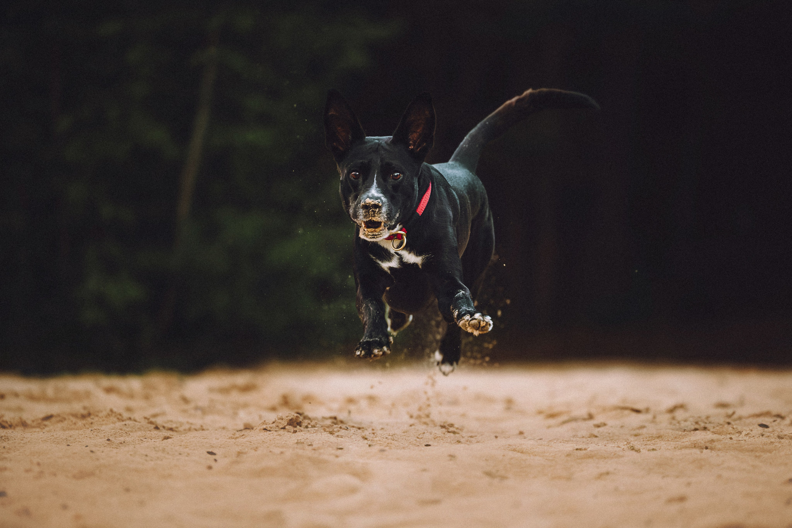 Роби, Тео и их семья