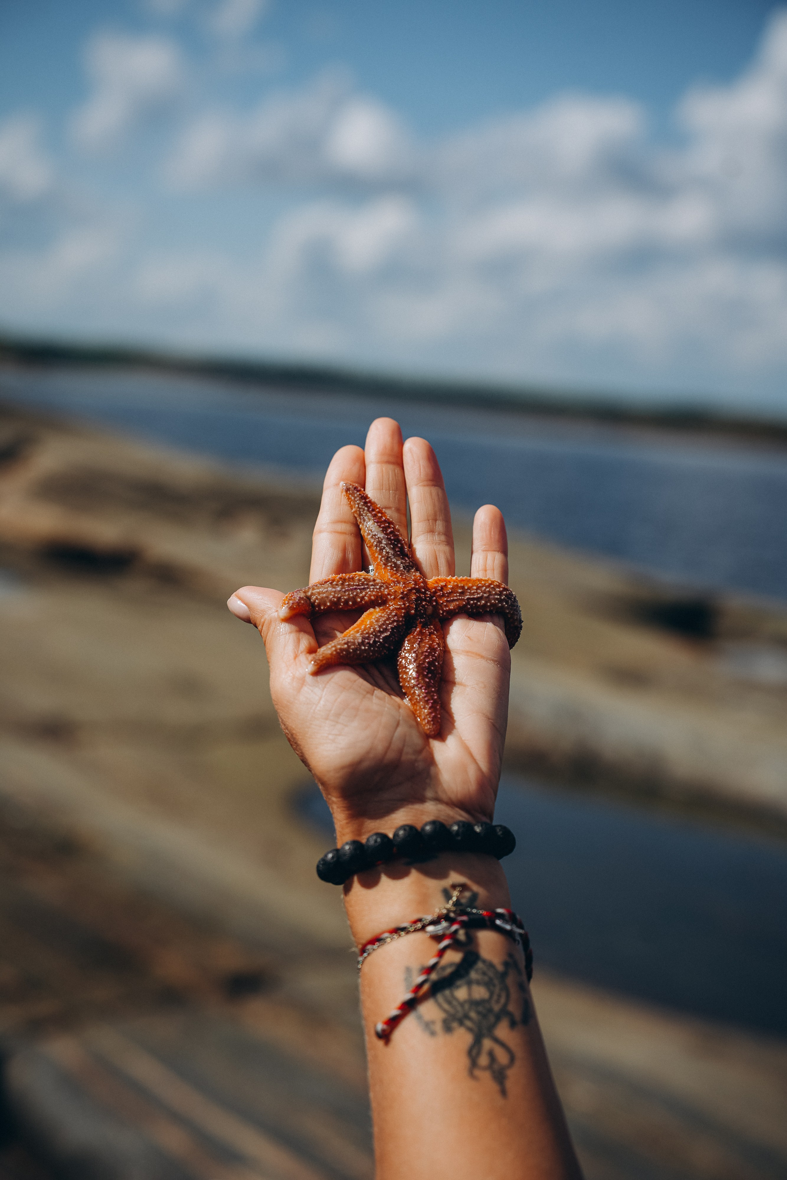 Travel. Николай Филиппов Event & Concert Photographer Москвf