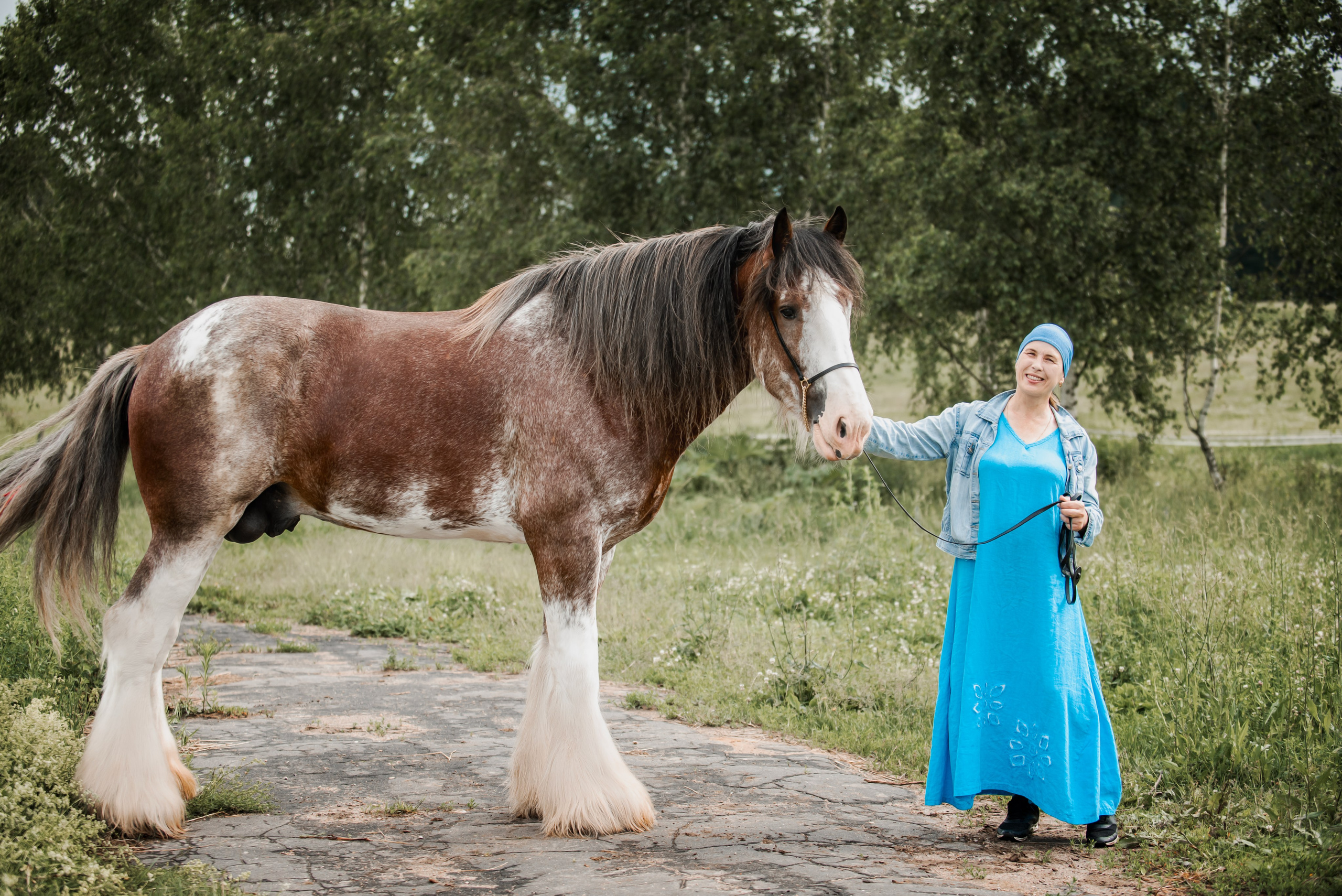 KOMARDINS. Конный фотограф Куракина Дарья • Фотосессии с лошадьми