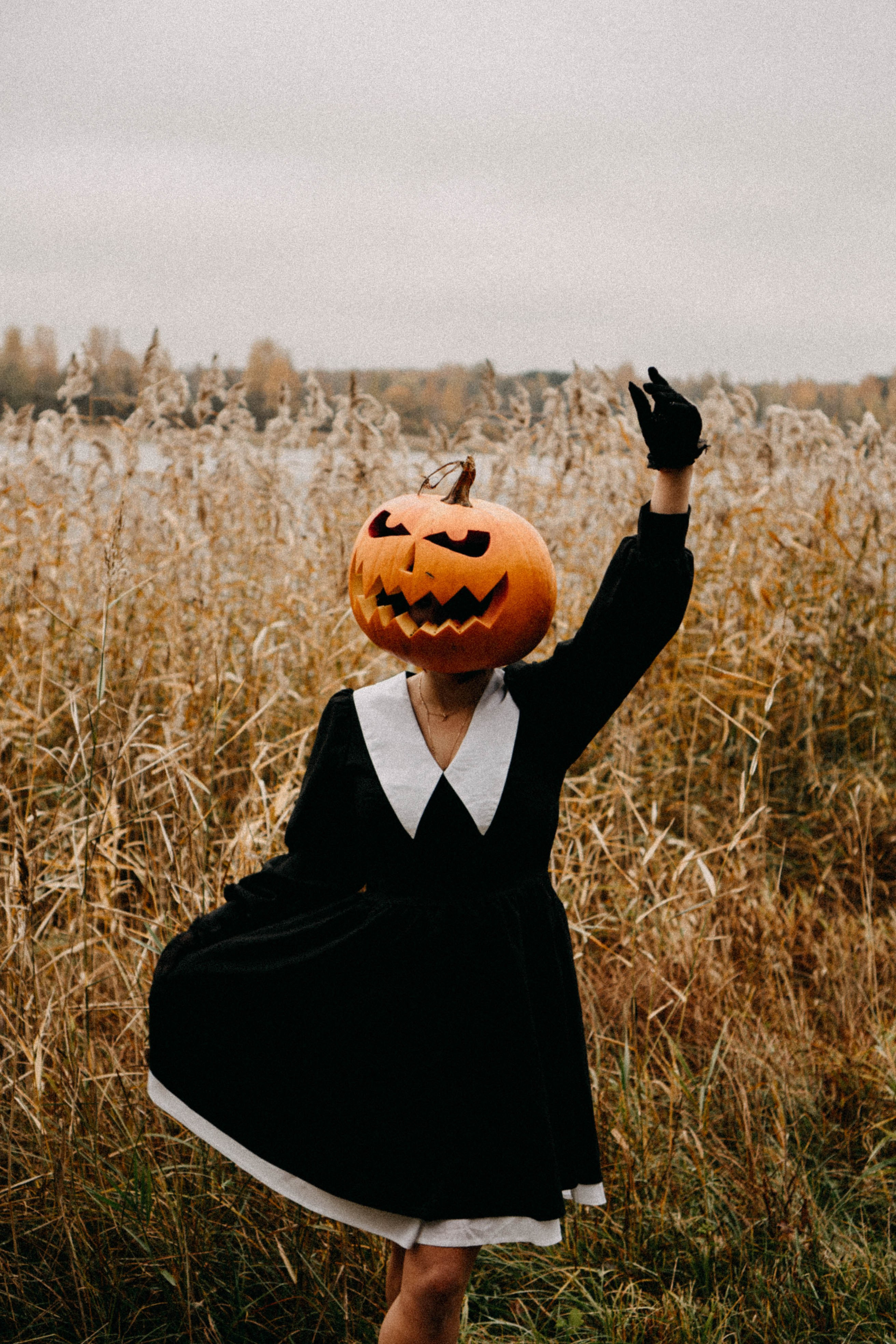 Осеняя. Профессиональный фотограф, Санкт-Петербург — Виктория Богомолова