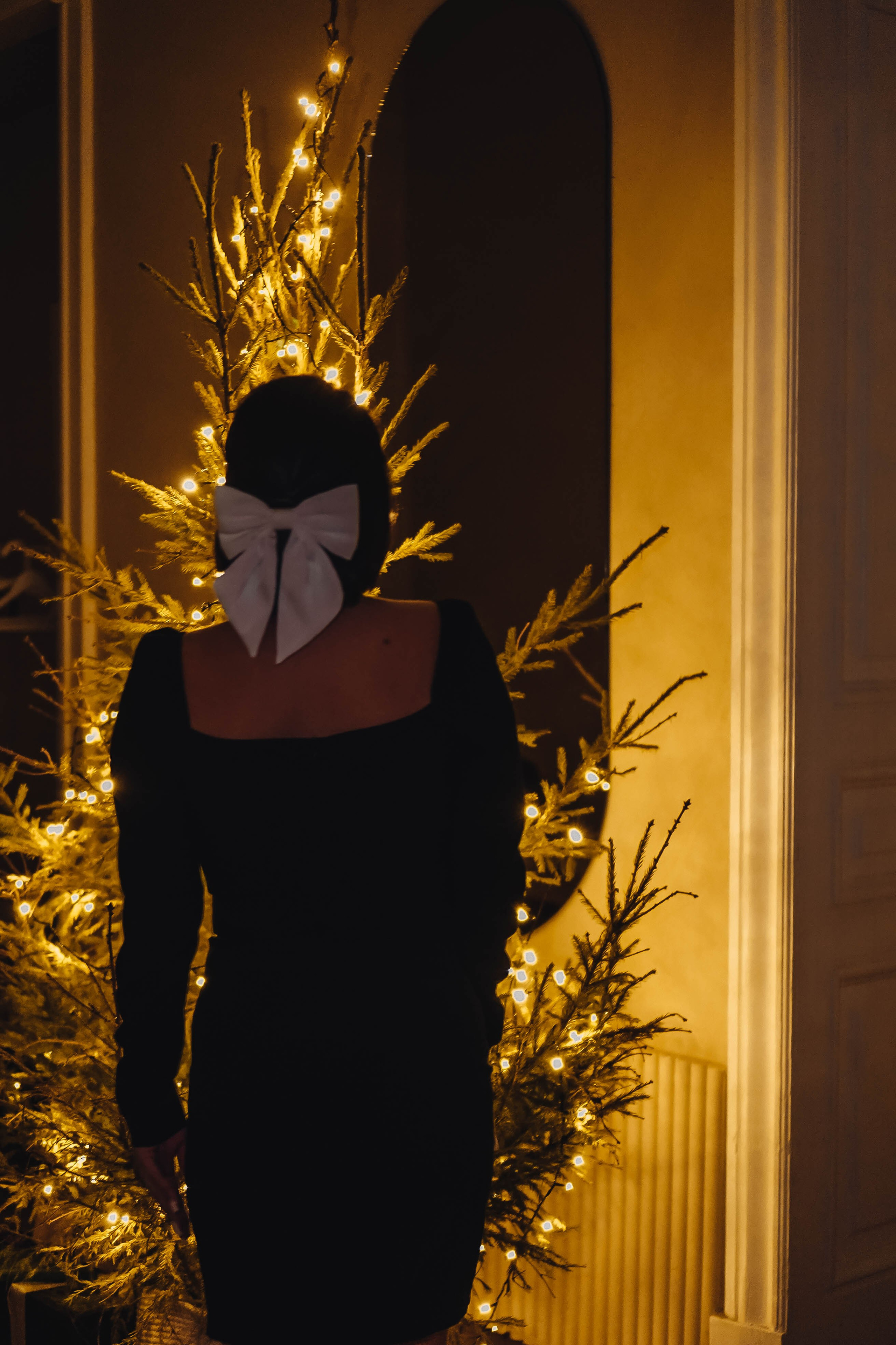 Семейная новогодняя. Профессиональный фотограф, Санкт-Петербург — Виктория Богомолова