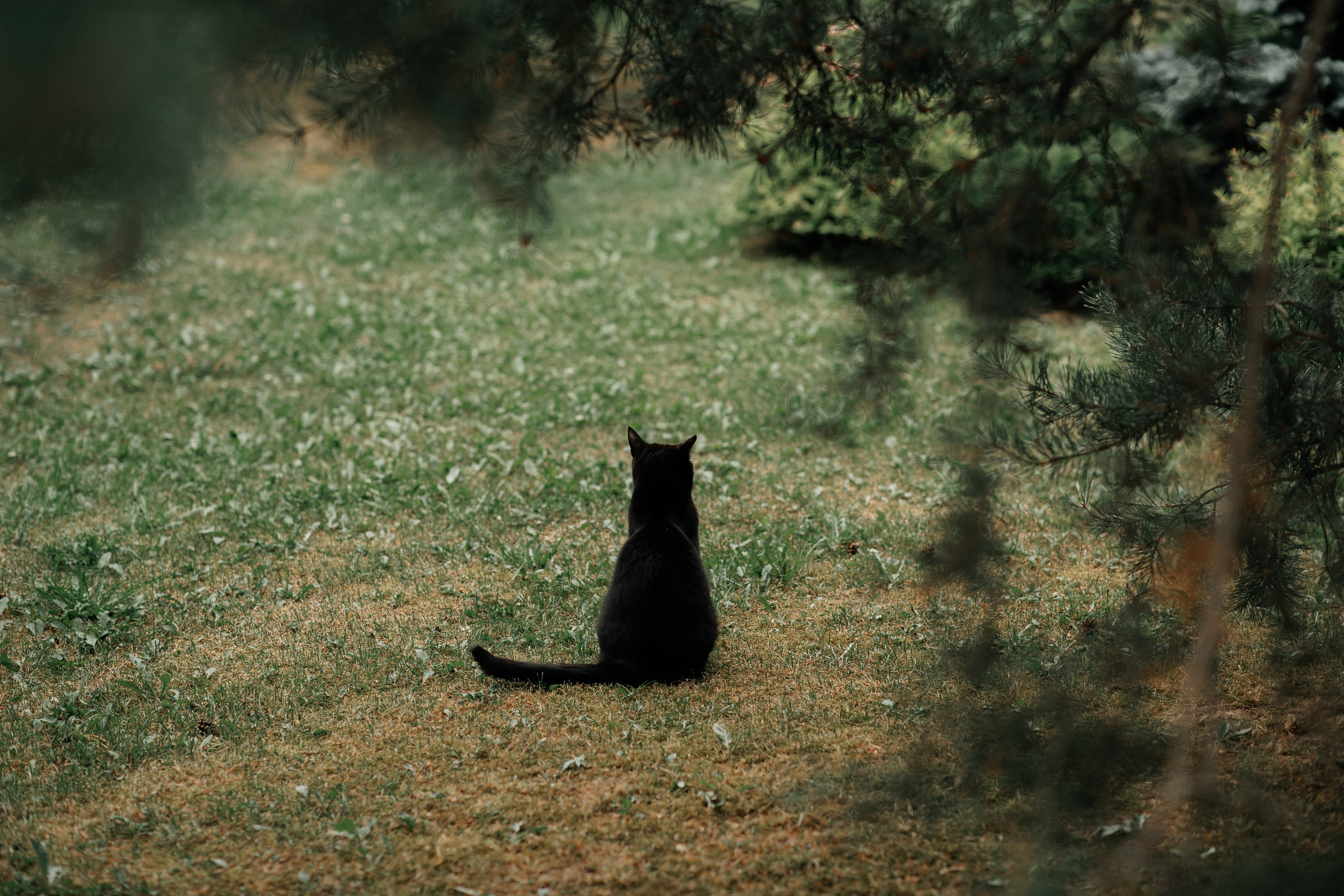 Moscow wedding. Архитектурный и интерьерный фотограф в Краснодаре | Дмитрий Демской