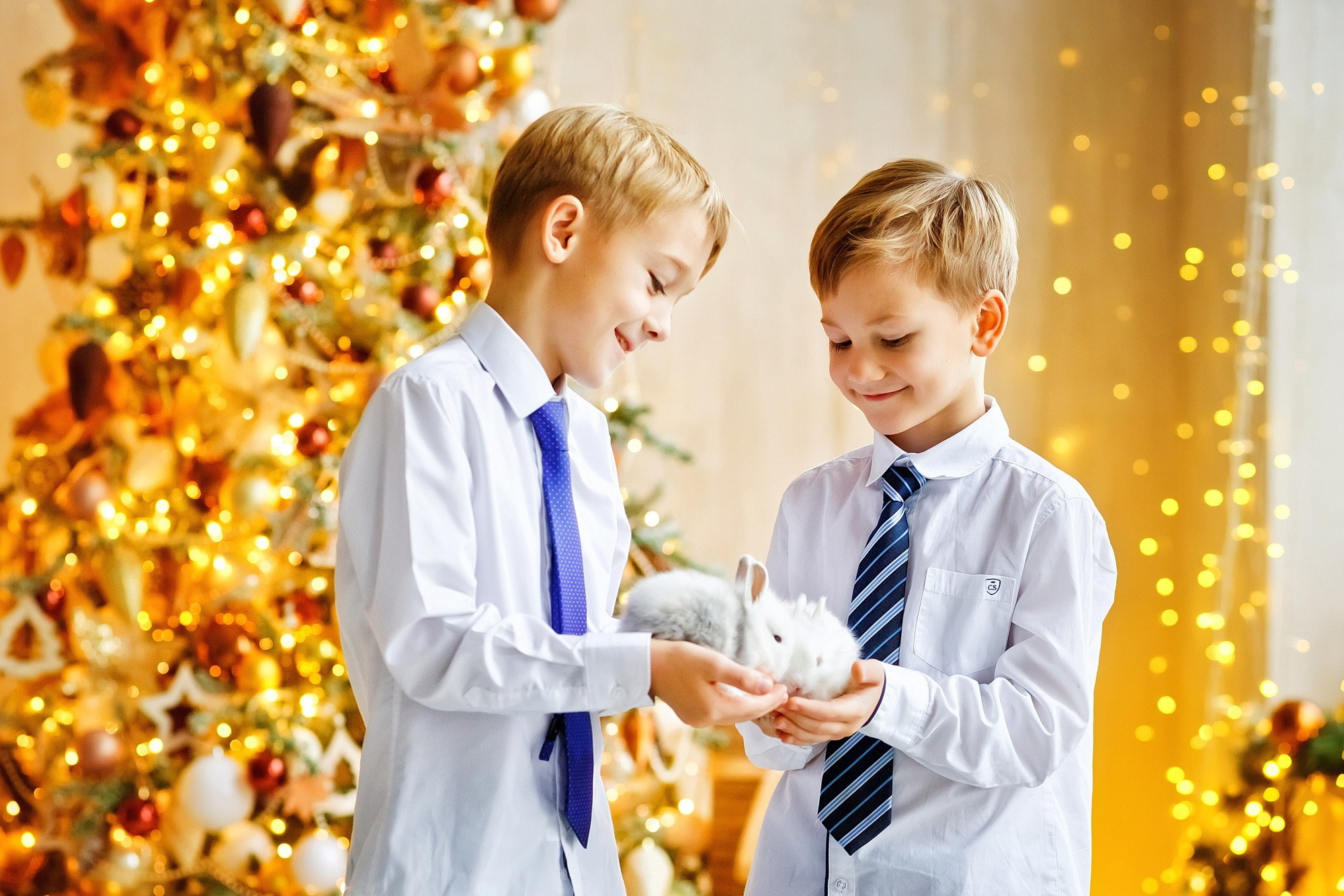 . Фотограф в Москве и Одинцово