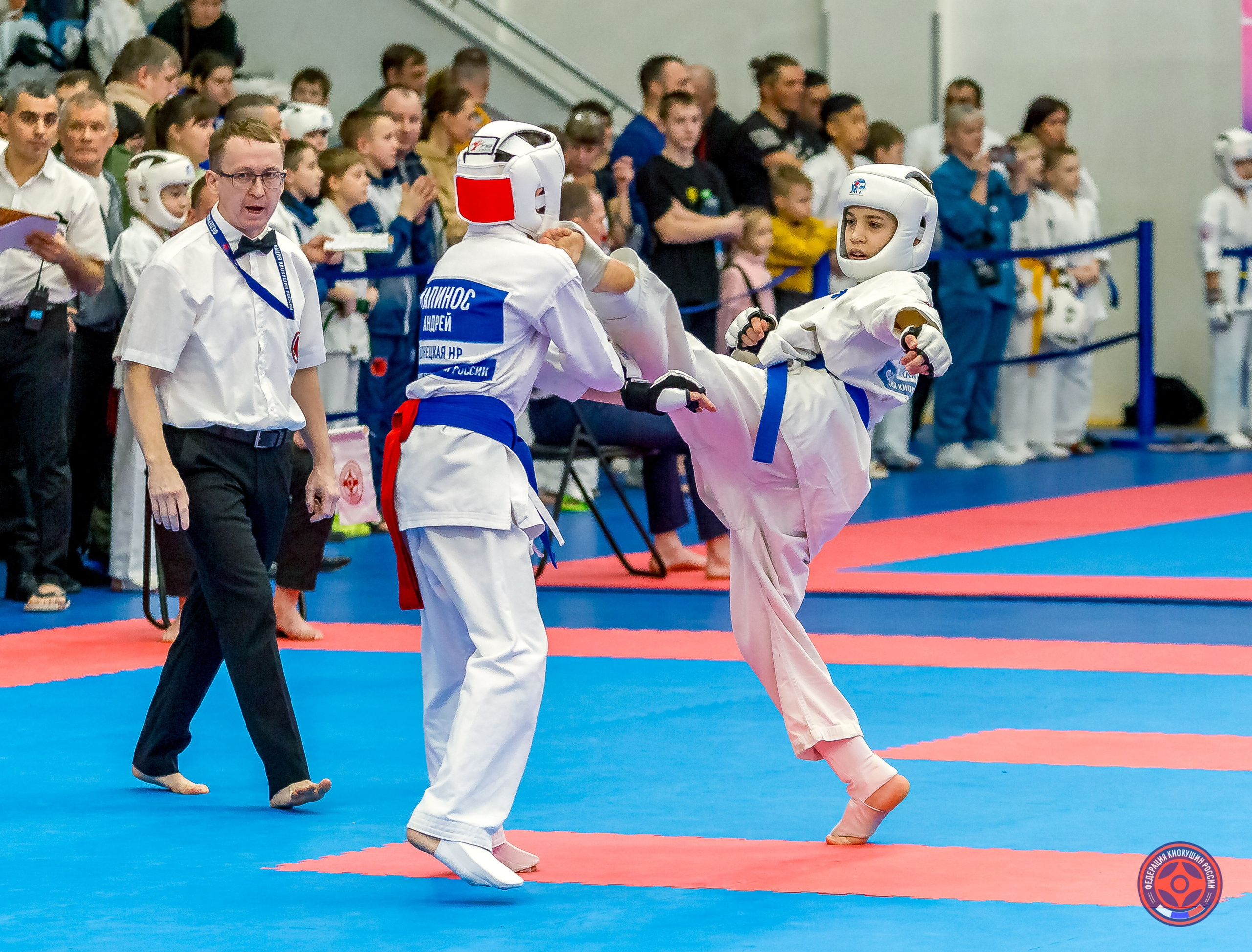 Международный турнир по киокушин «Открытый кубок Seiken». Репортажная съемка в Москве и области. Анималистика