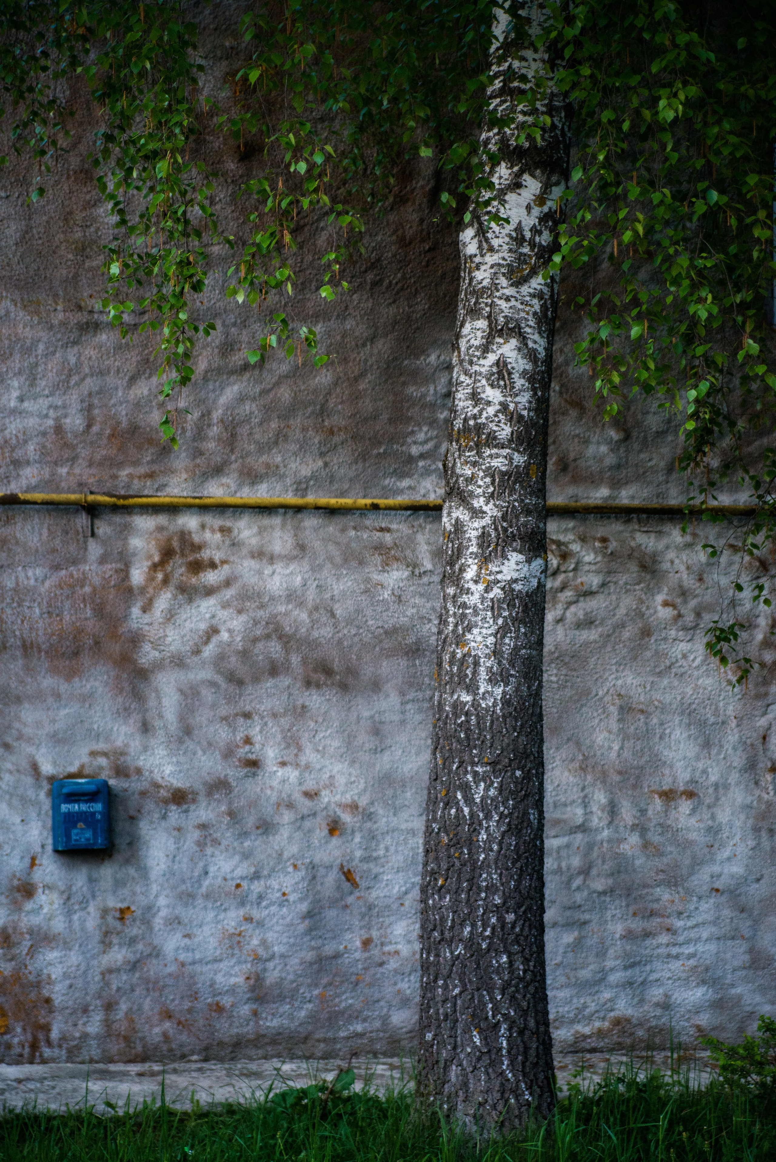 Singles 2. Alyona Kochetkova | Photographer and photography educator