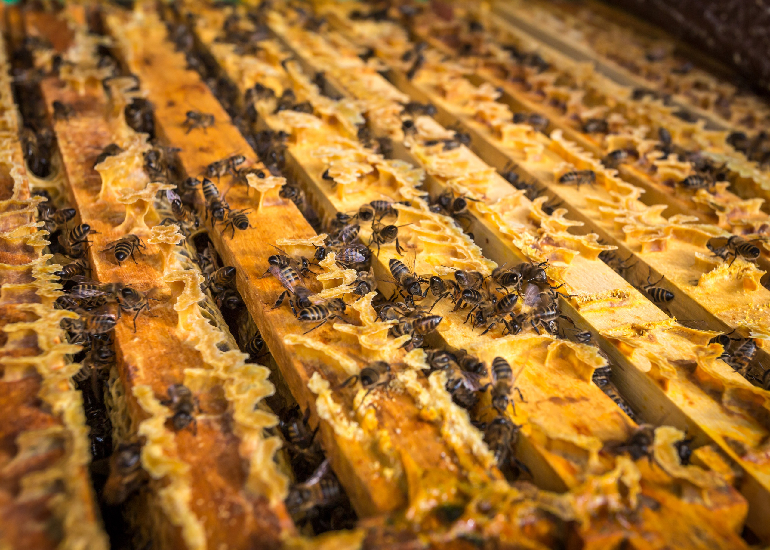 ХВАЛЫНСК: ГОРОД НА ДНЕ МОРЯ. Контакты