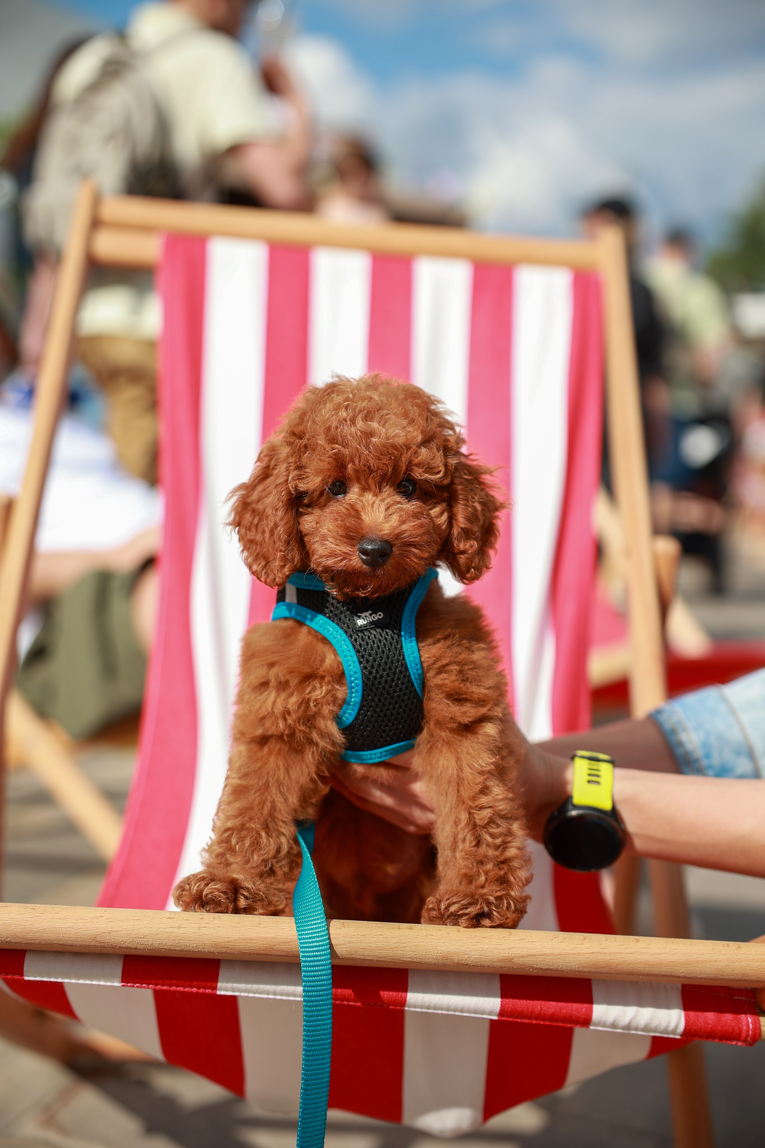 9–10 августа 2025 на Даниловском рынке / День 2 / фото Саша Жукова. Фотоотчеты «Ламбада-маркета»