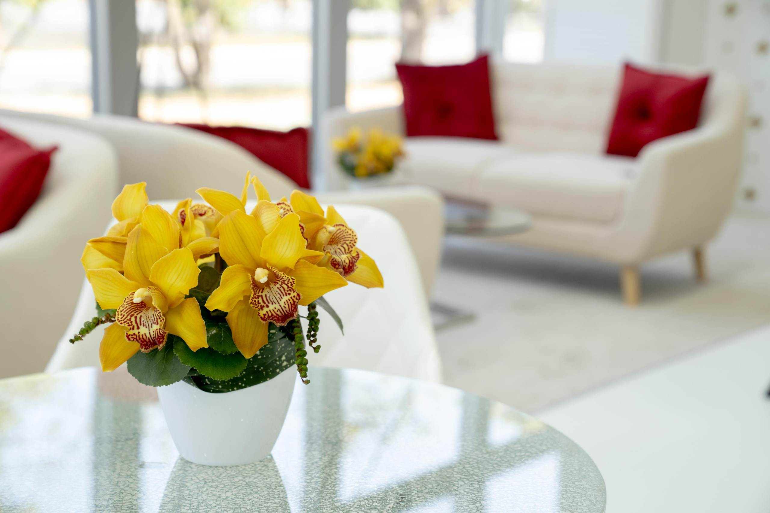 Съемка в рамках ВЭФ для производителя AURUS. Wedding and family photographer in Vladivostok Anton Blokhin