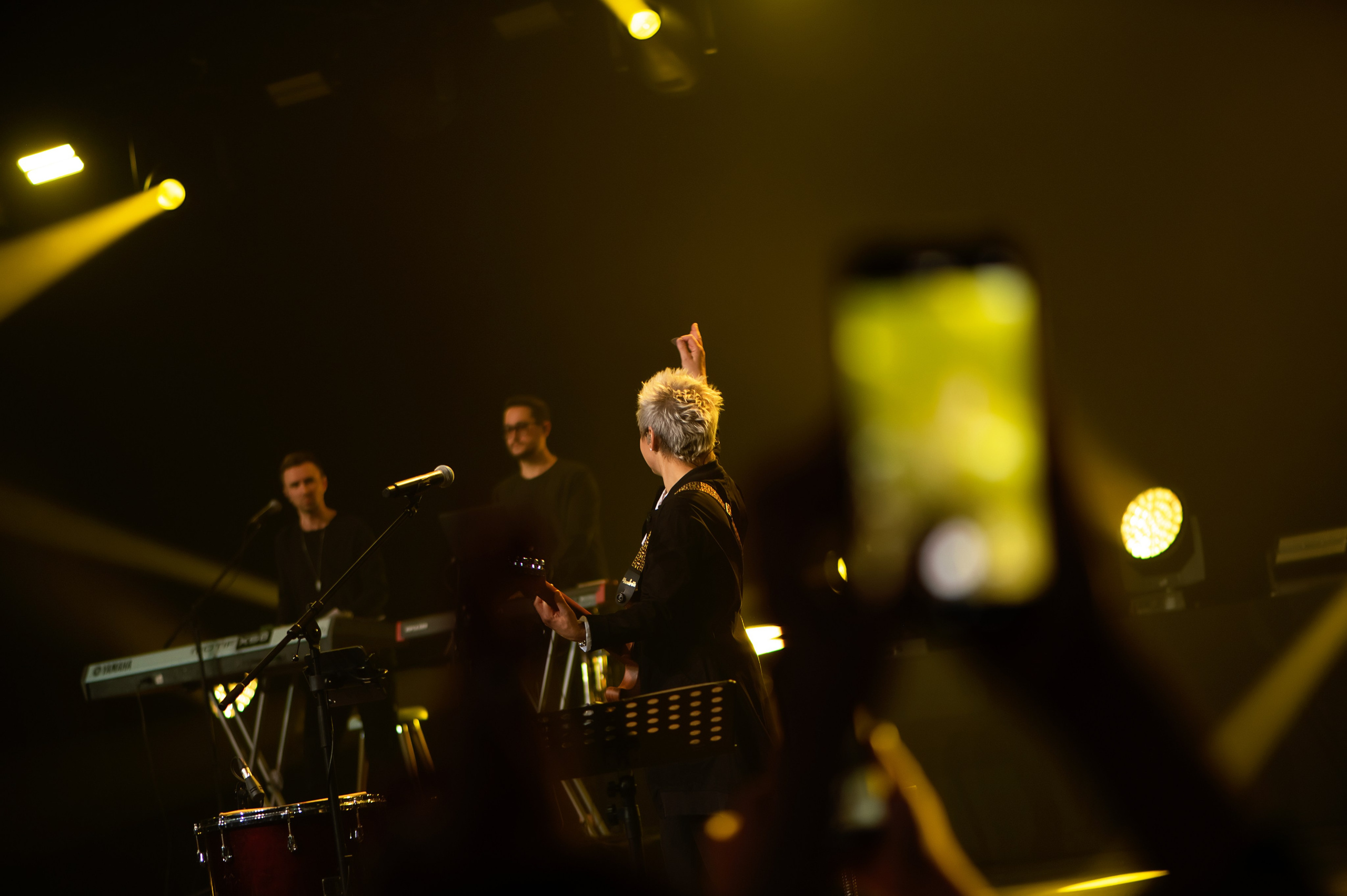 Светлана Сурганова и Оркестр, КЗ Москва, 19.11.2024, концерт. Фотограф в Москве, Оксана Ребристая