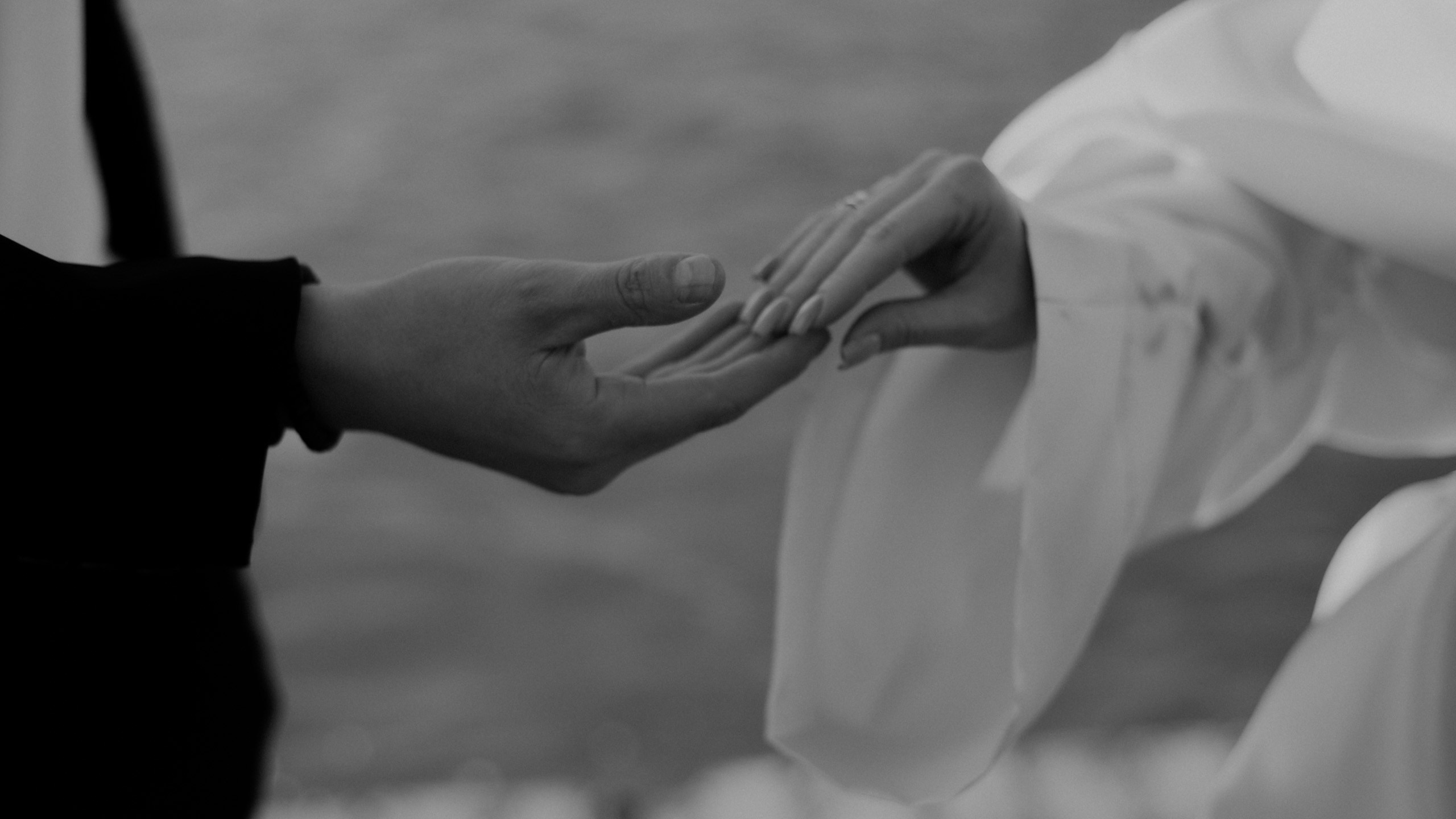 Свадьба в стиле «Love story». Фотограф и Видеограф Анапа, Новороссийск, Краснодар. Алина и Женя