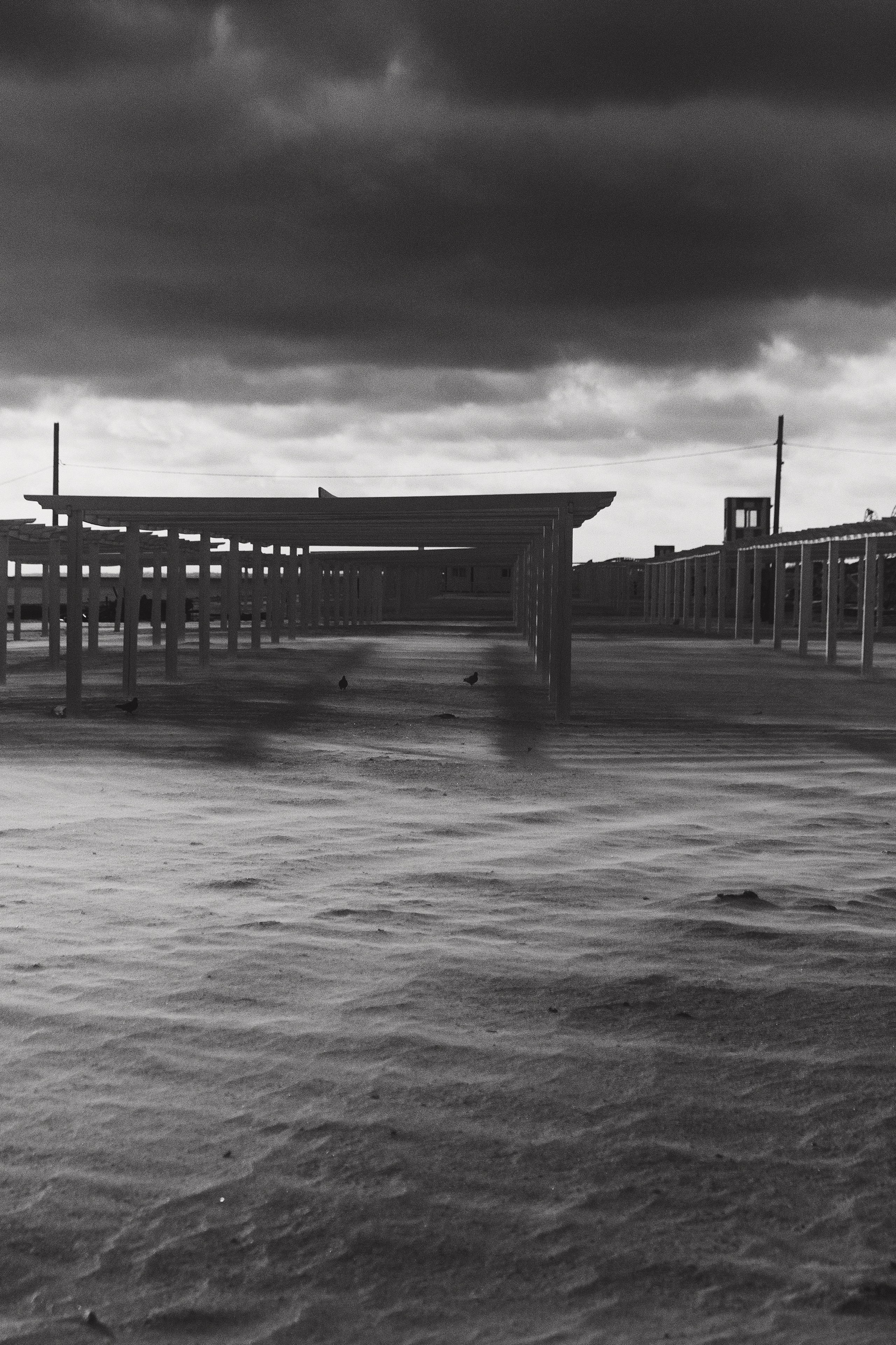 Проекты. Фотограф в Ростове-на-Дону