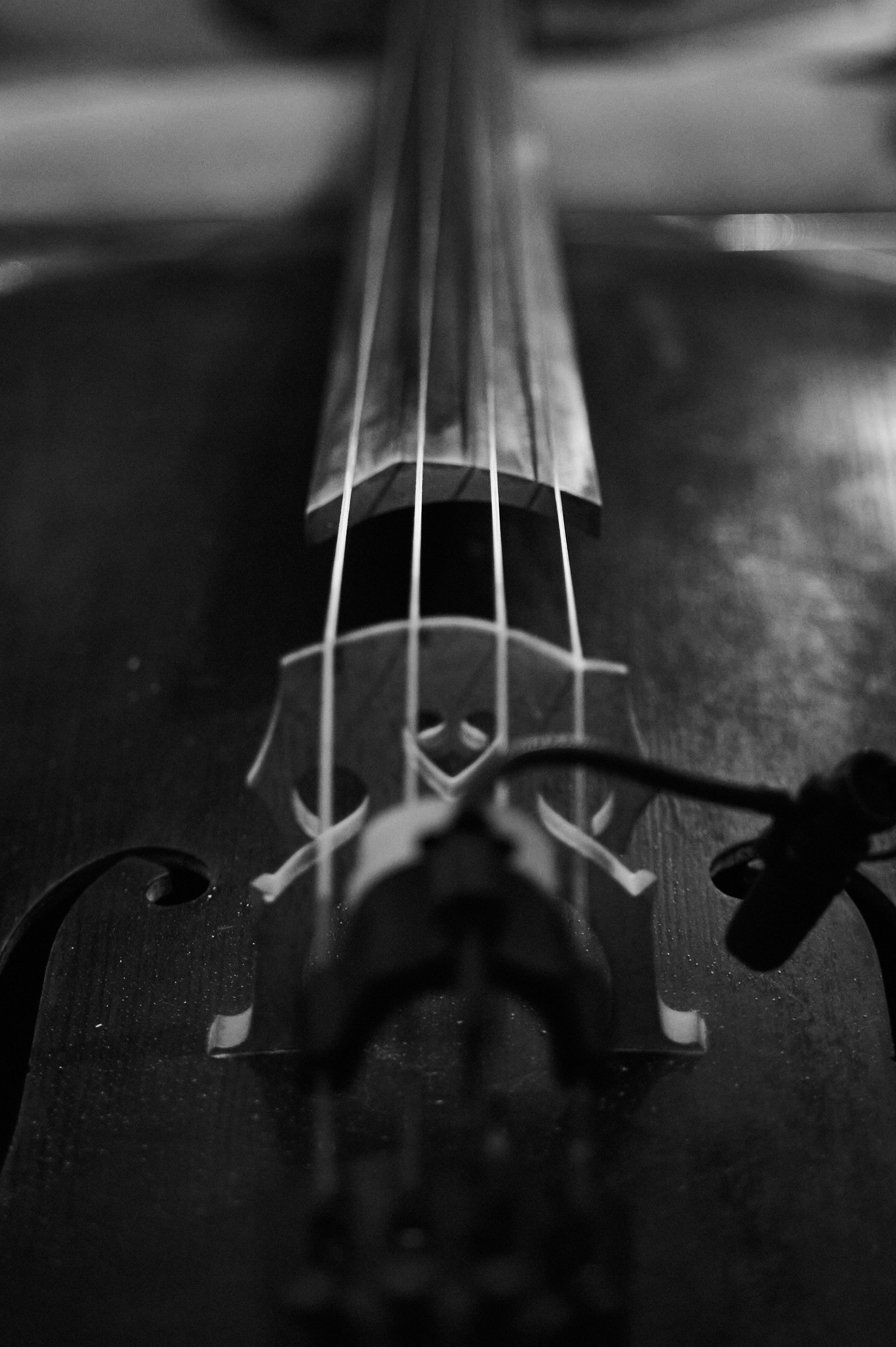 Art of Music. Портретный фотограф в Москве Айрат Абдуллаев