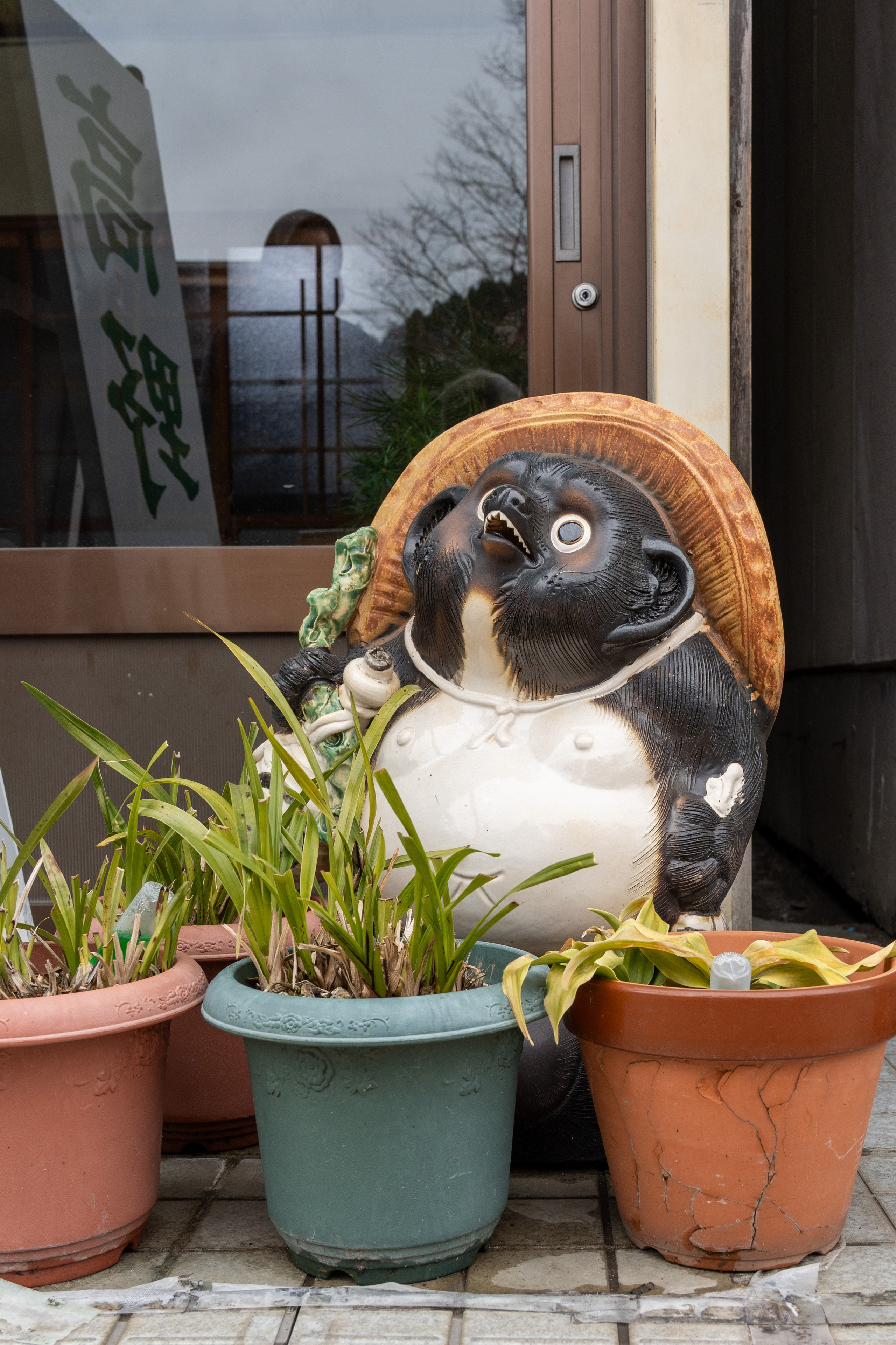 Япония, сакура. Творческие сьемки