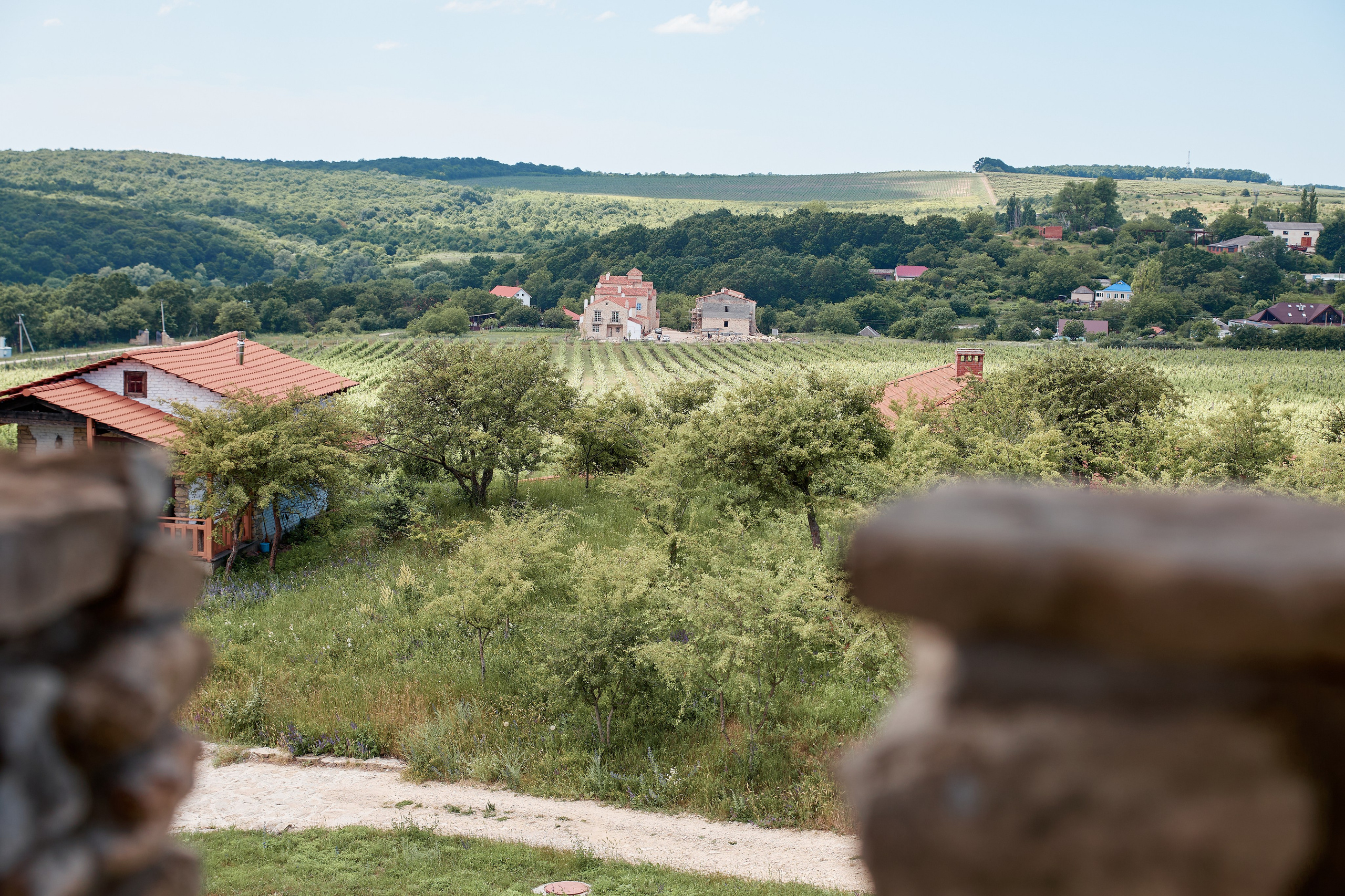 ОДНА ВИНОДЕЛЬНЯ. Репортажный и мужской фотограф в Краснодаре. Фотограф в Краснодаре