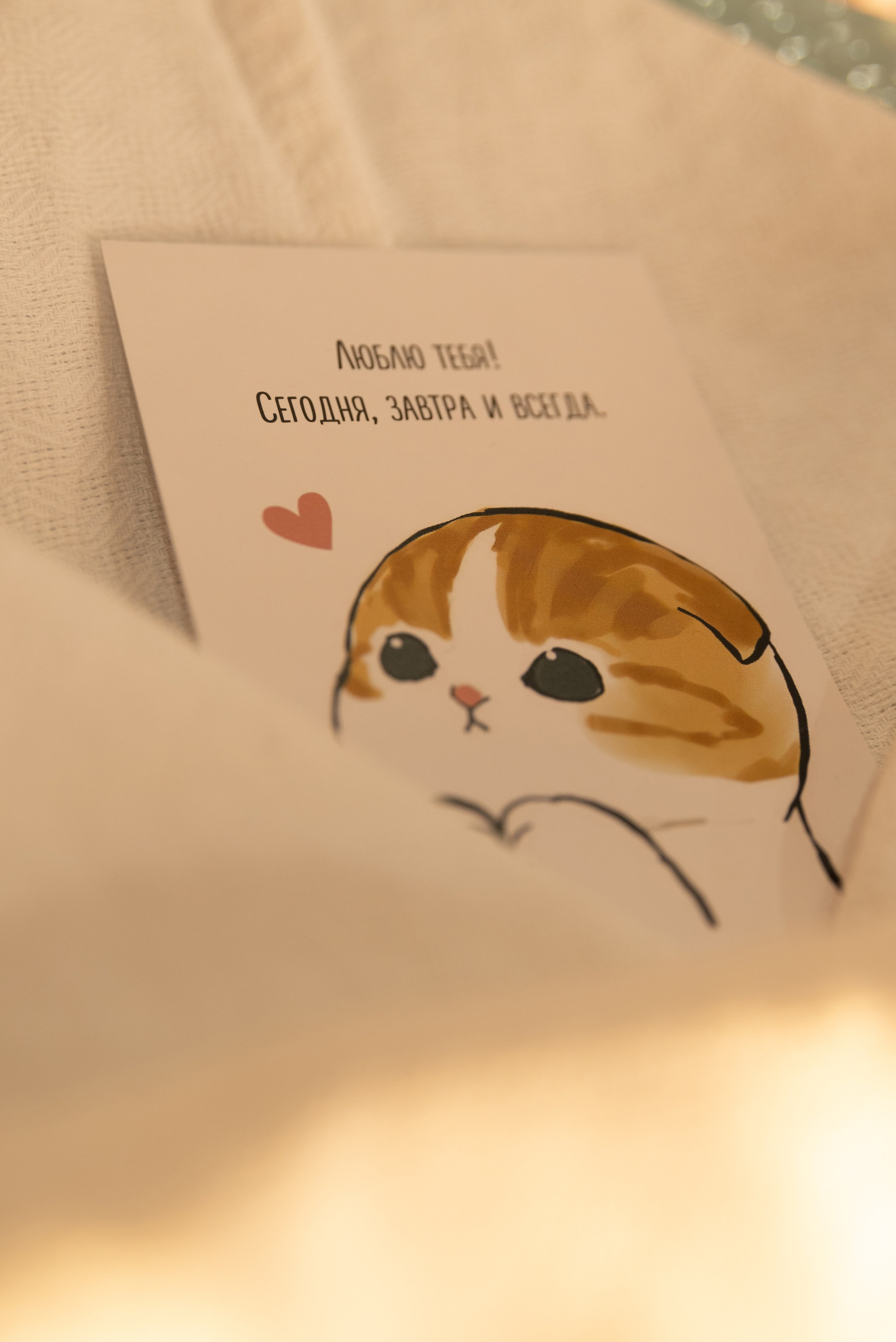 День рождение в Арт-Клубе. Фотограф в Москве и Московской области (Ю-В) Олеся Макарова