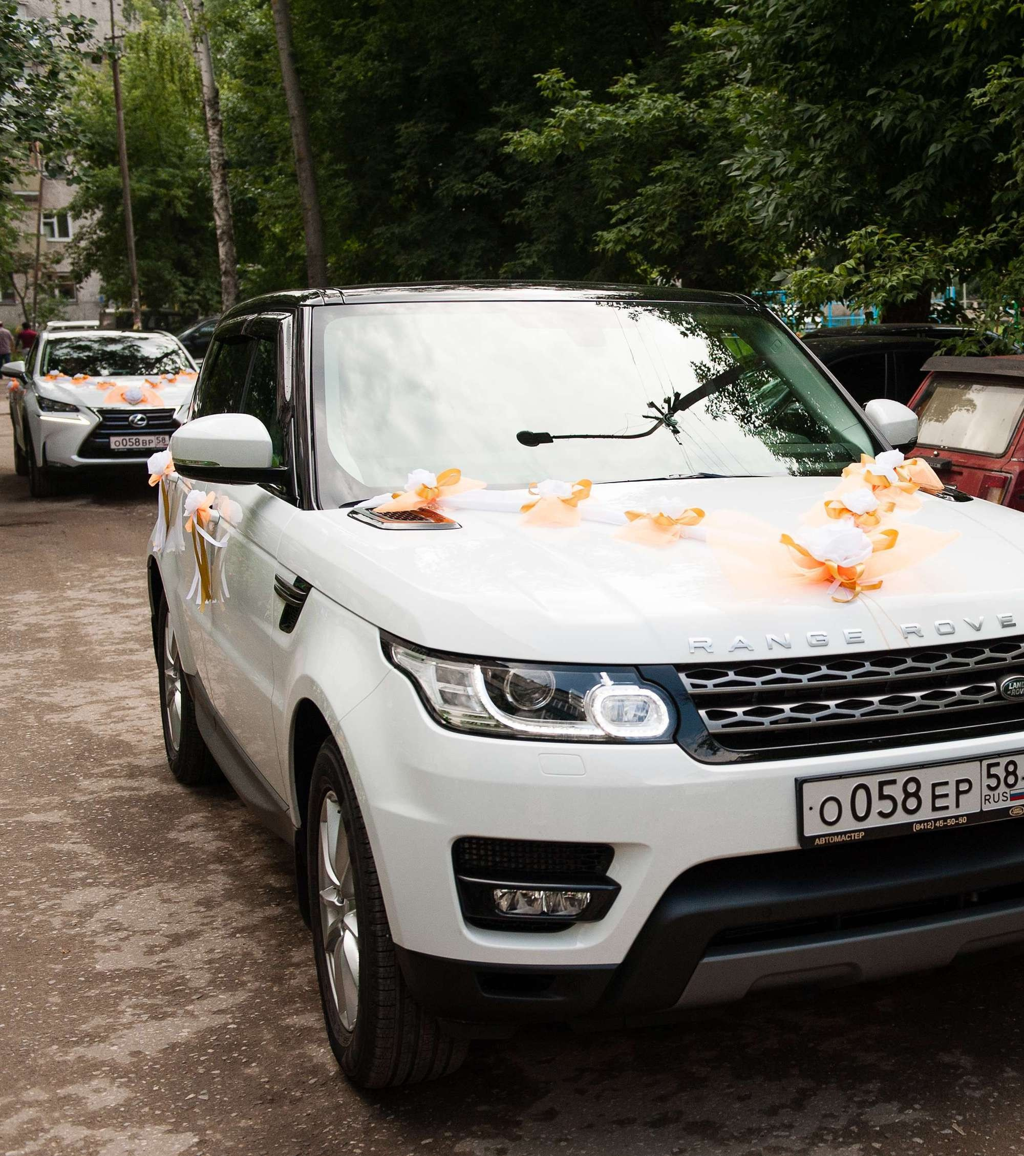 Сергей и Екатерина