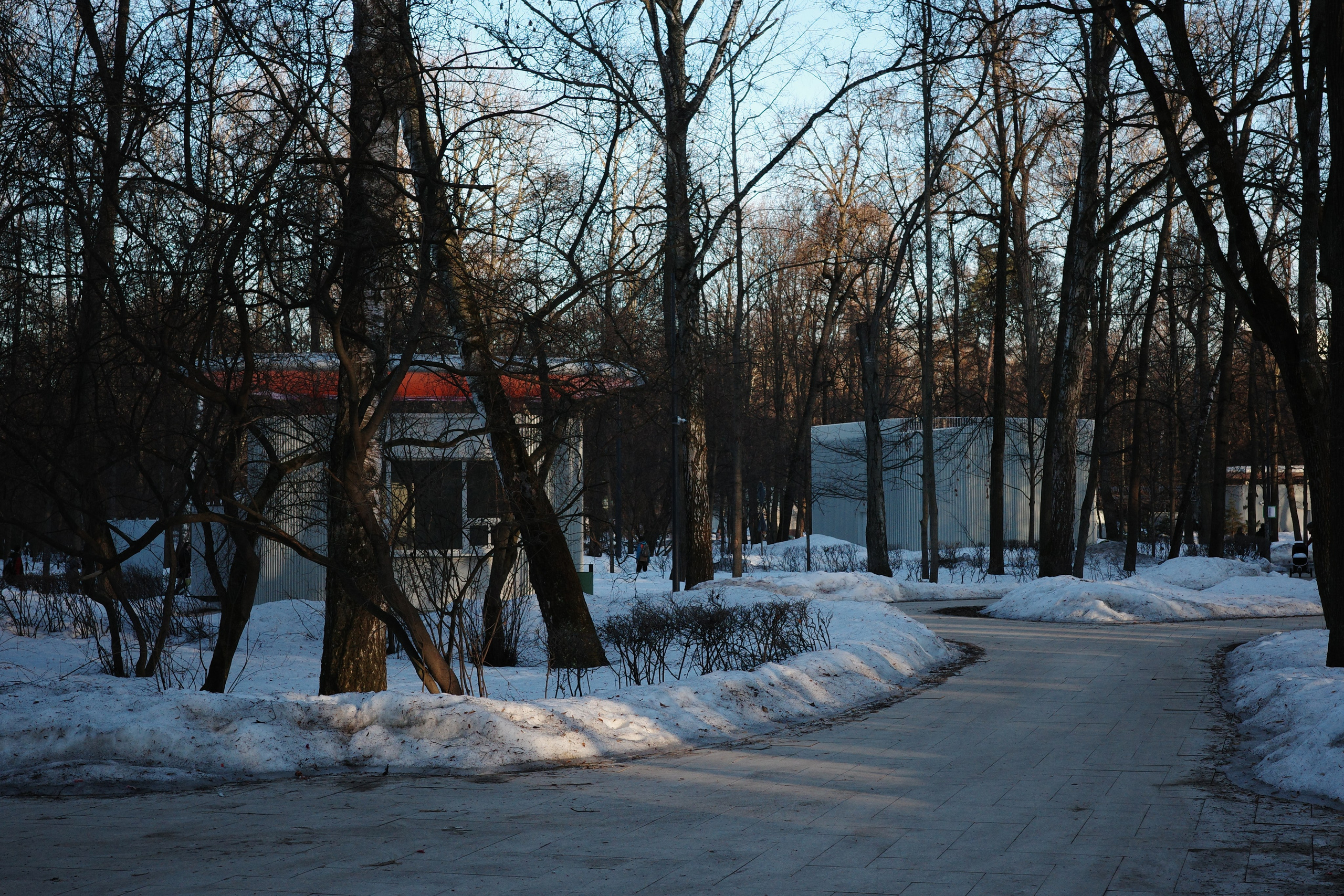 #44: Парк «Сокольники» / март 2026. Проект «Фотокладовка»: блог уличной фотографии в формате street photo