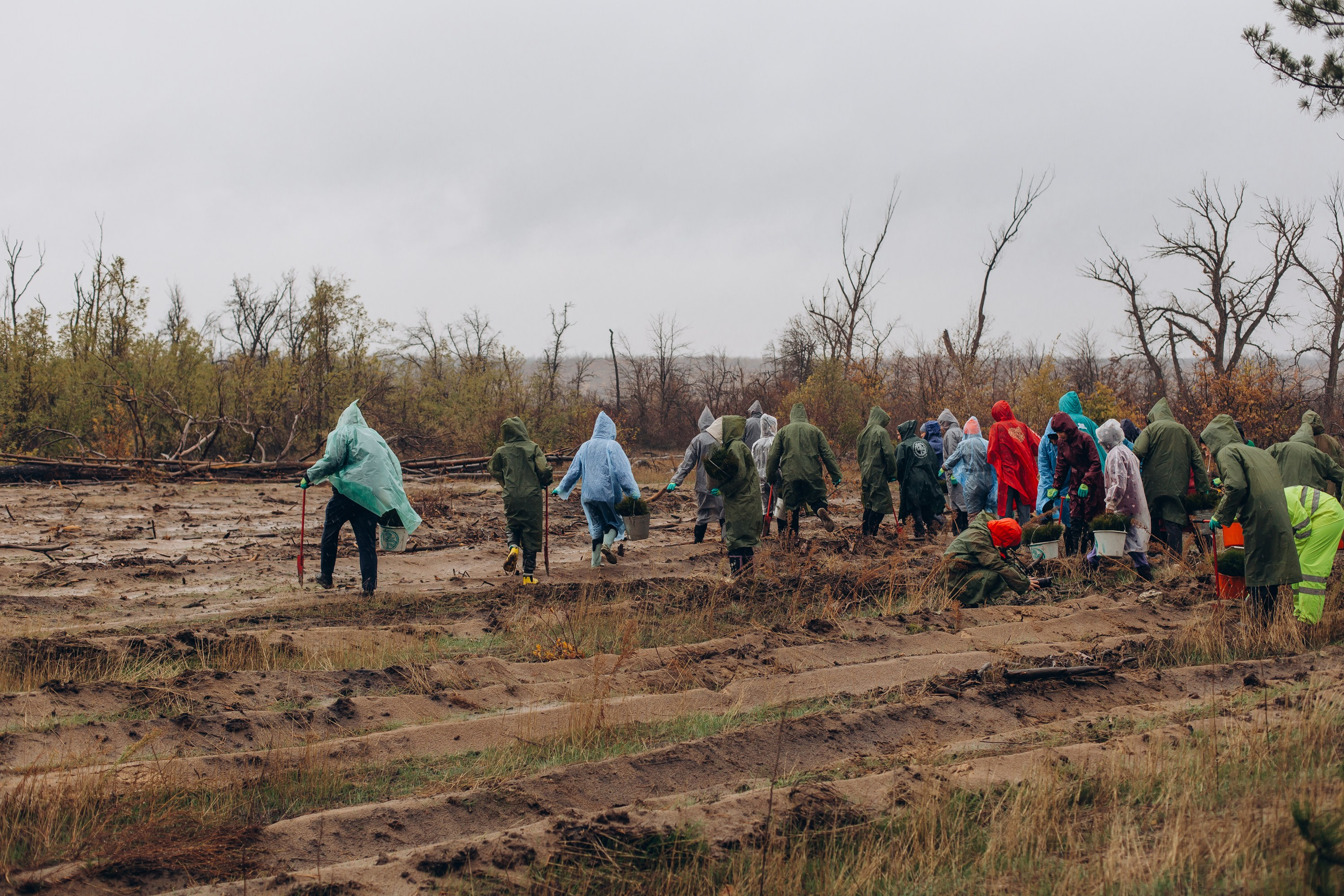 Посадка деревьев в Усть-Донецком районе. Артём Панфилов — Свадебный и семейный фотограф в Ростове-на-Дону