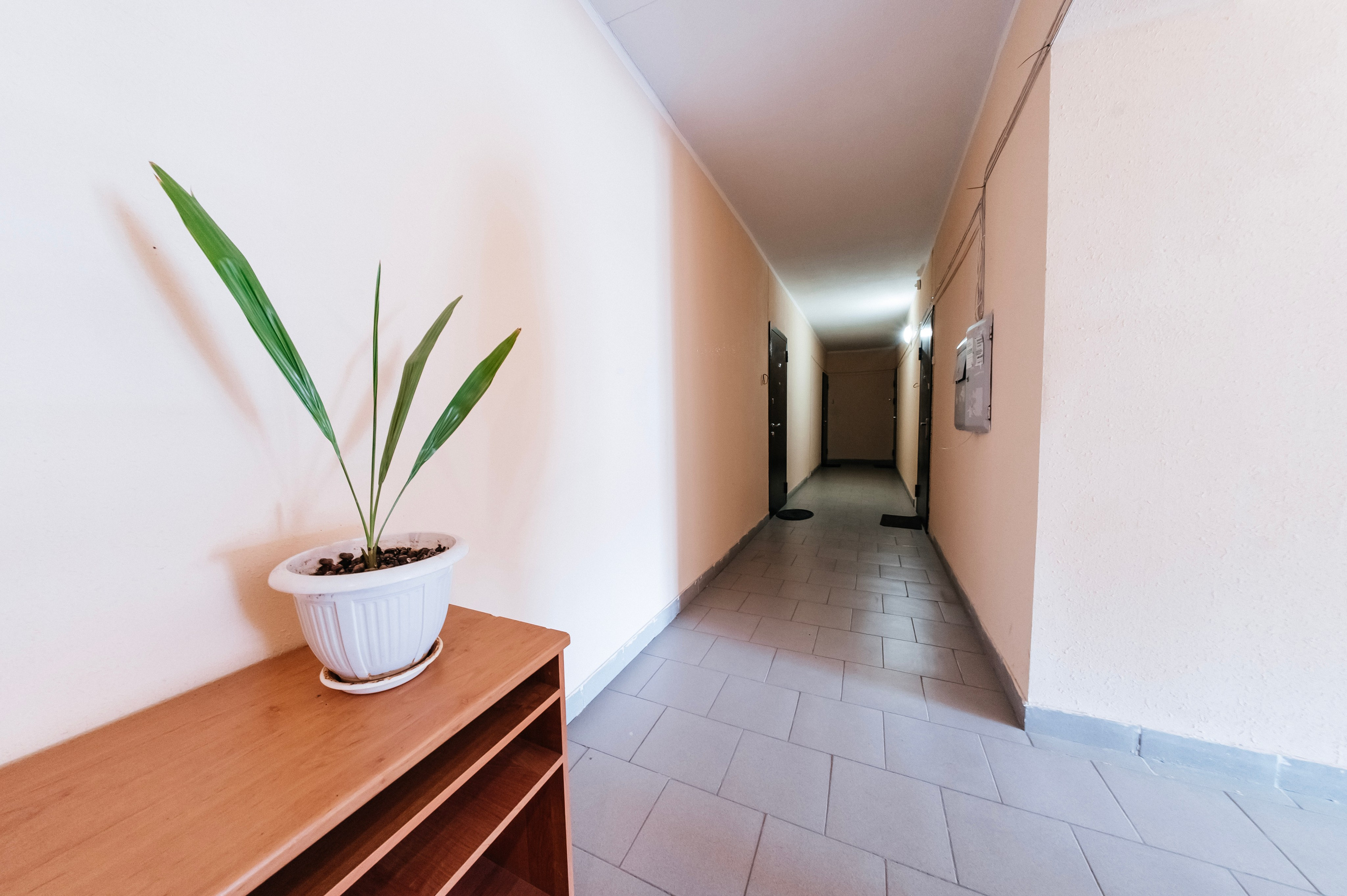 Квартира Безье. Свадебный фотограф и видеограф Жанна и Ренат Костандян, Ставрополь